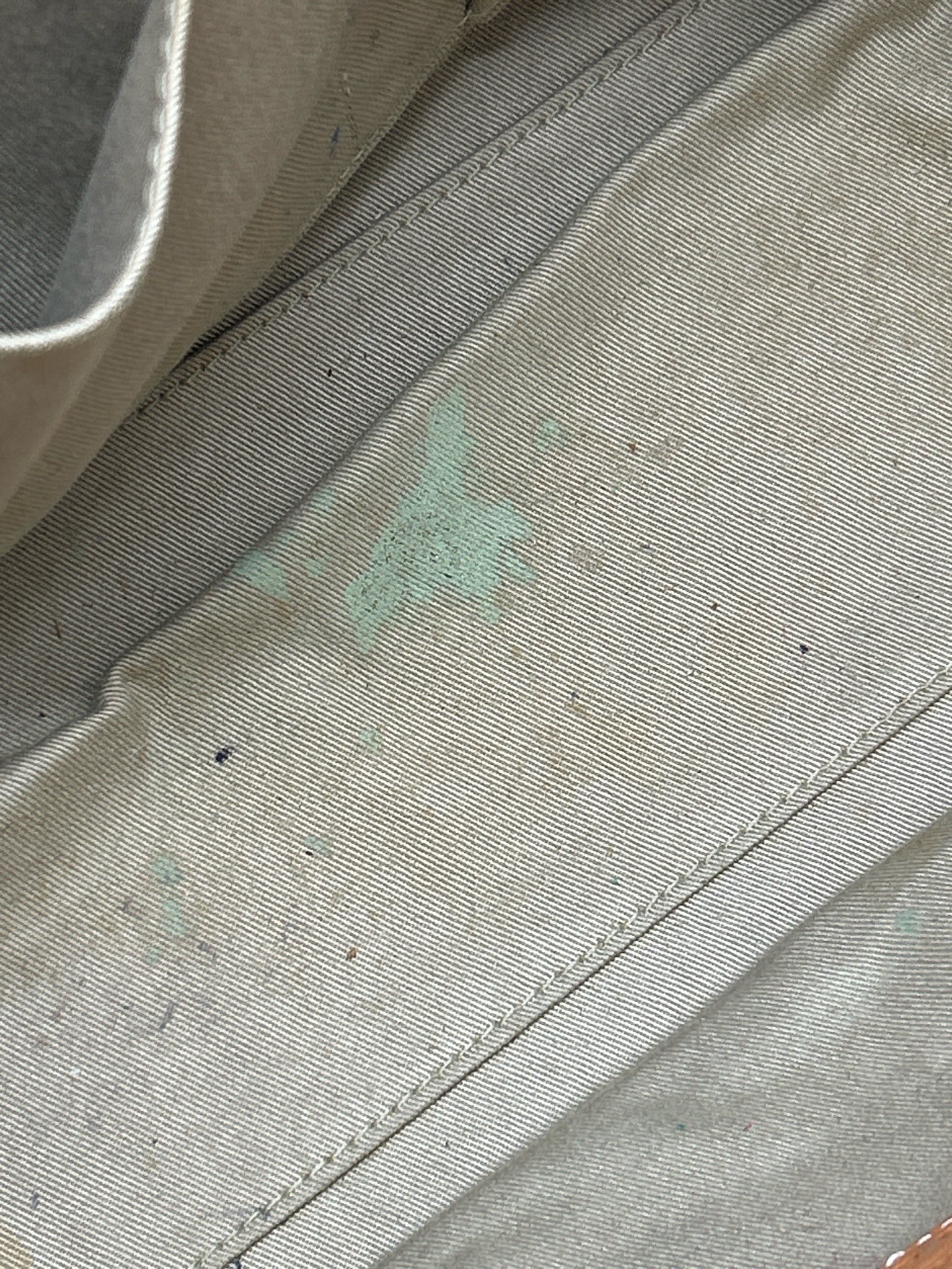 COACH Tan Women Tote