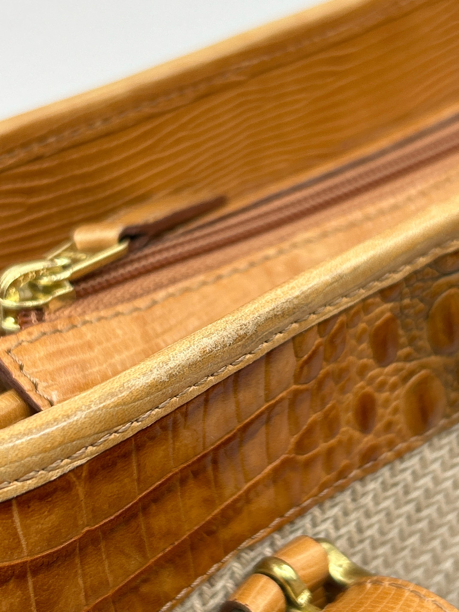 BRAHMIN Natural Women Purse