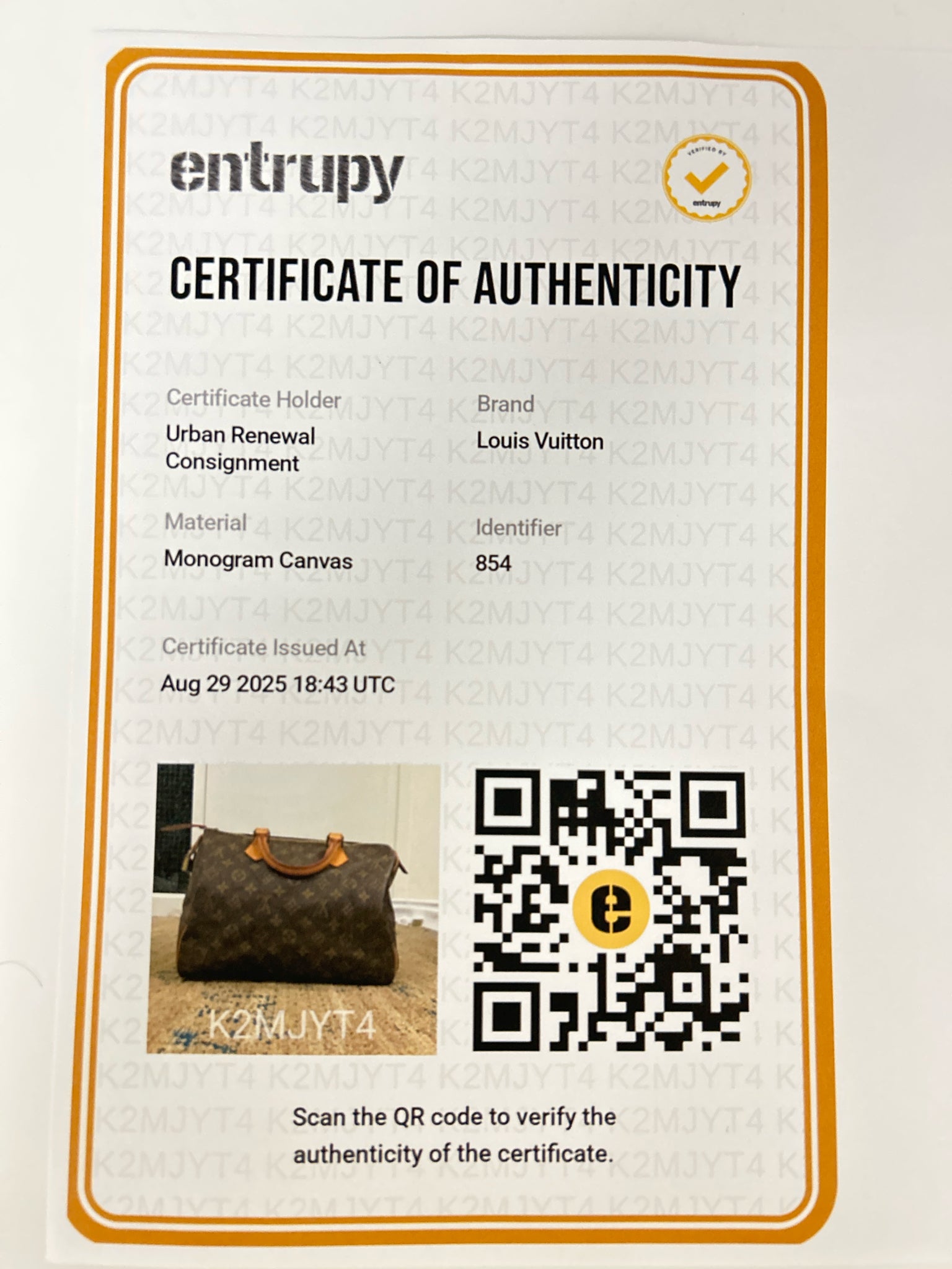 LOUIS VUITTON Brown Speedy 30 Women Purse