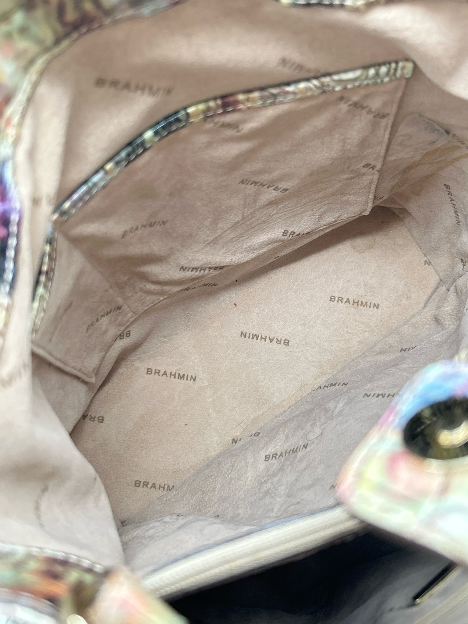 BRAHMIN Multi-Color Women Purse