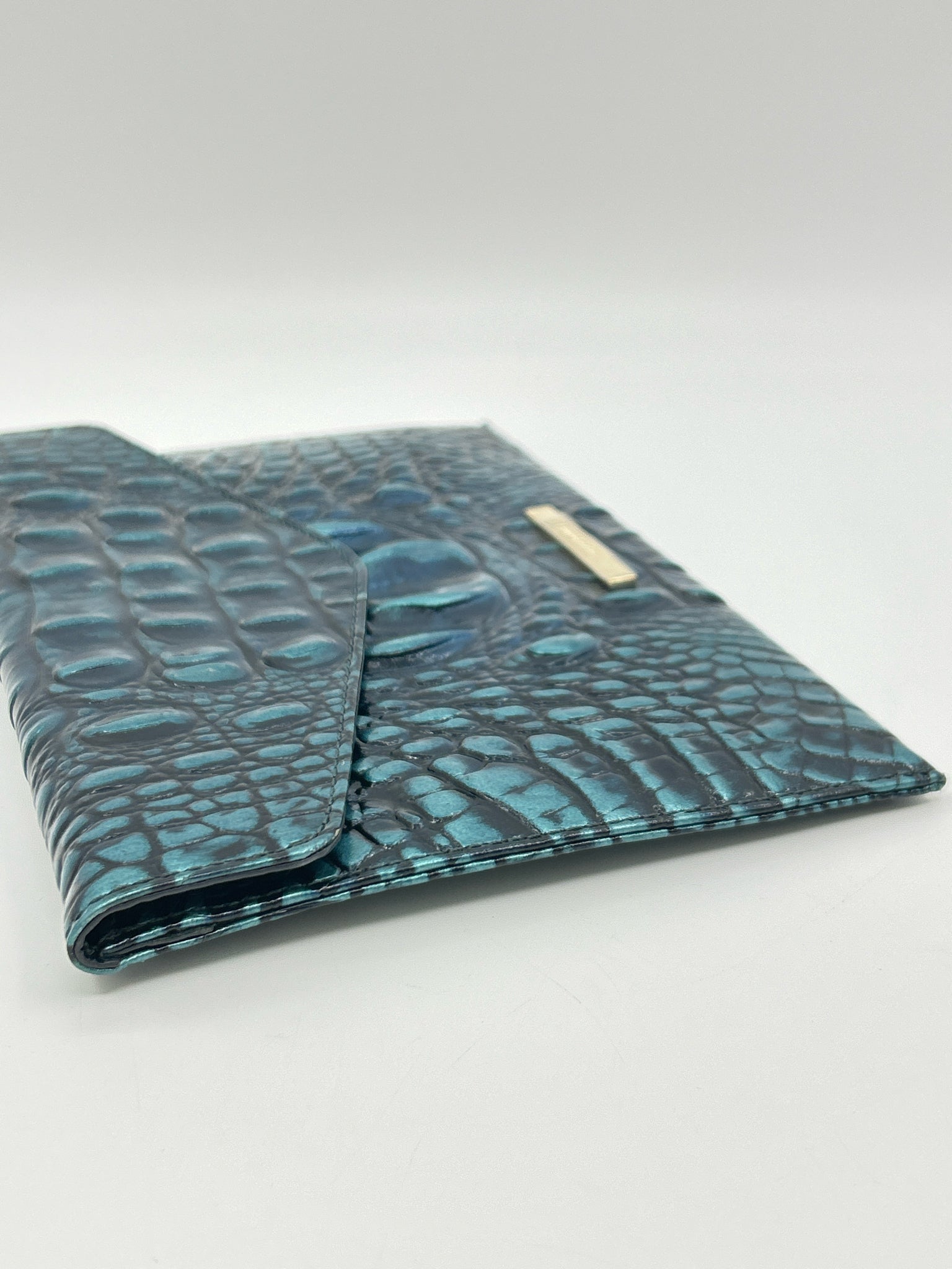 BRAHMIN BLUE AND TEAL Women Clutch