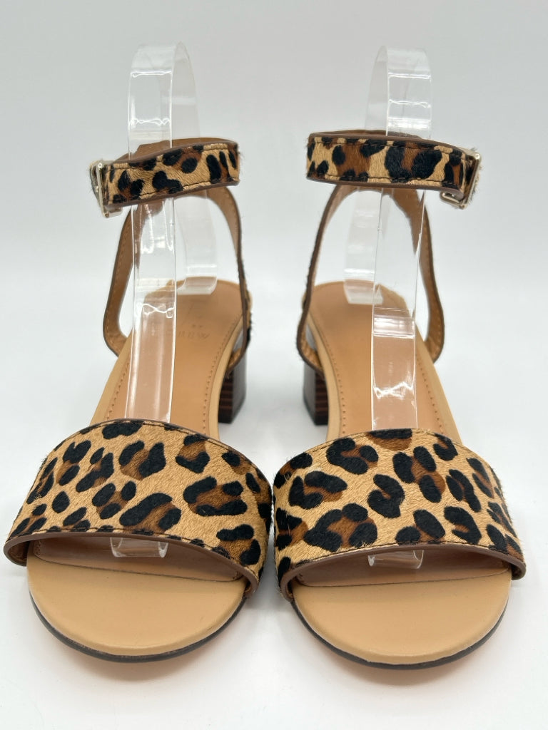 J. CREW Size 6.5 Animal Print Sandal