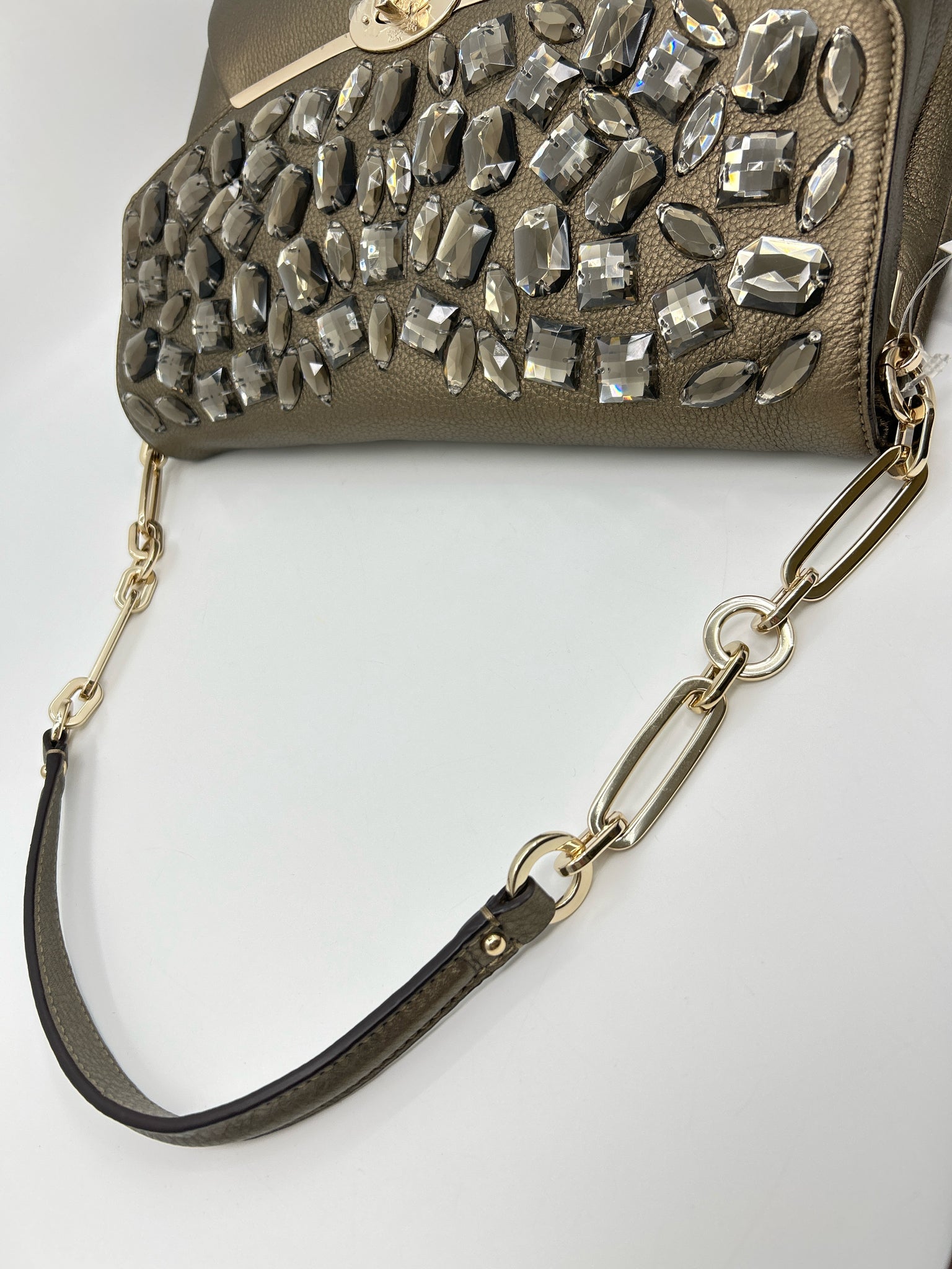 Coach BRONZE Women Purse
