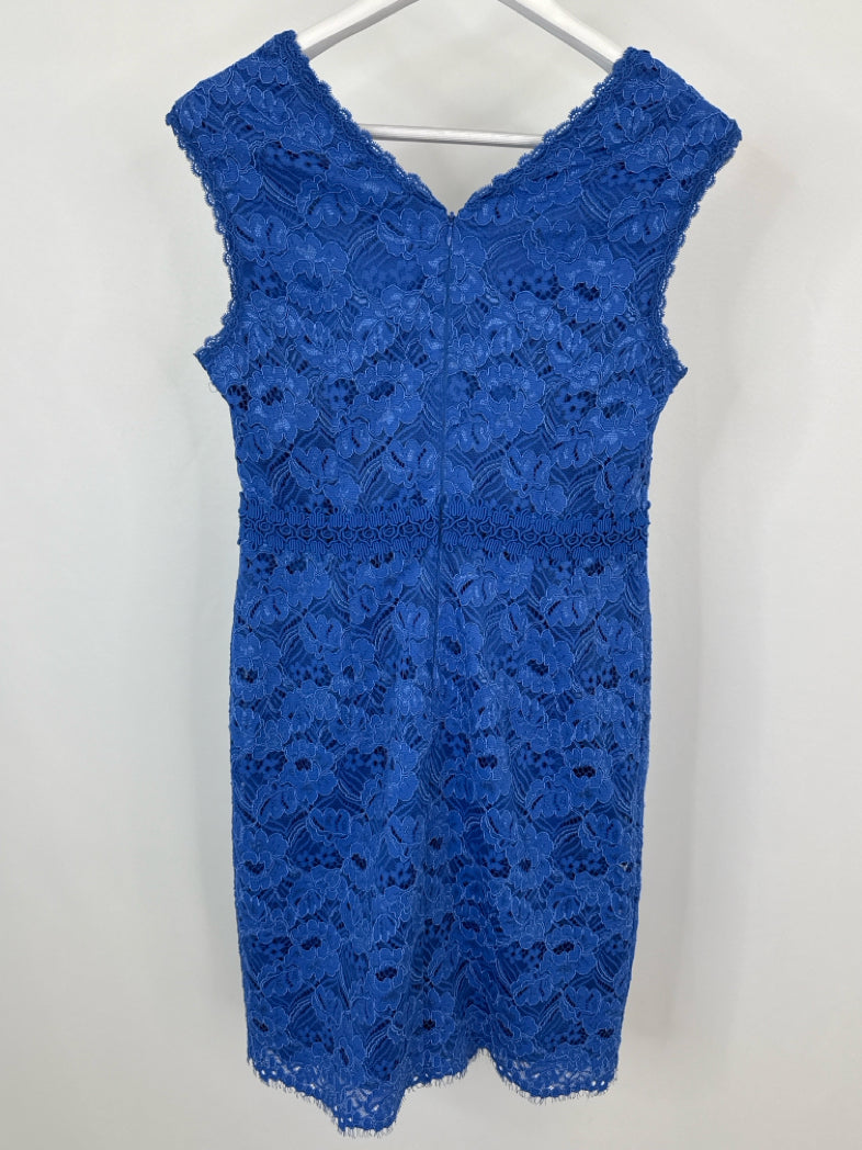 ANN TAYLOR Size 8 Blue Lace Women Dress