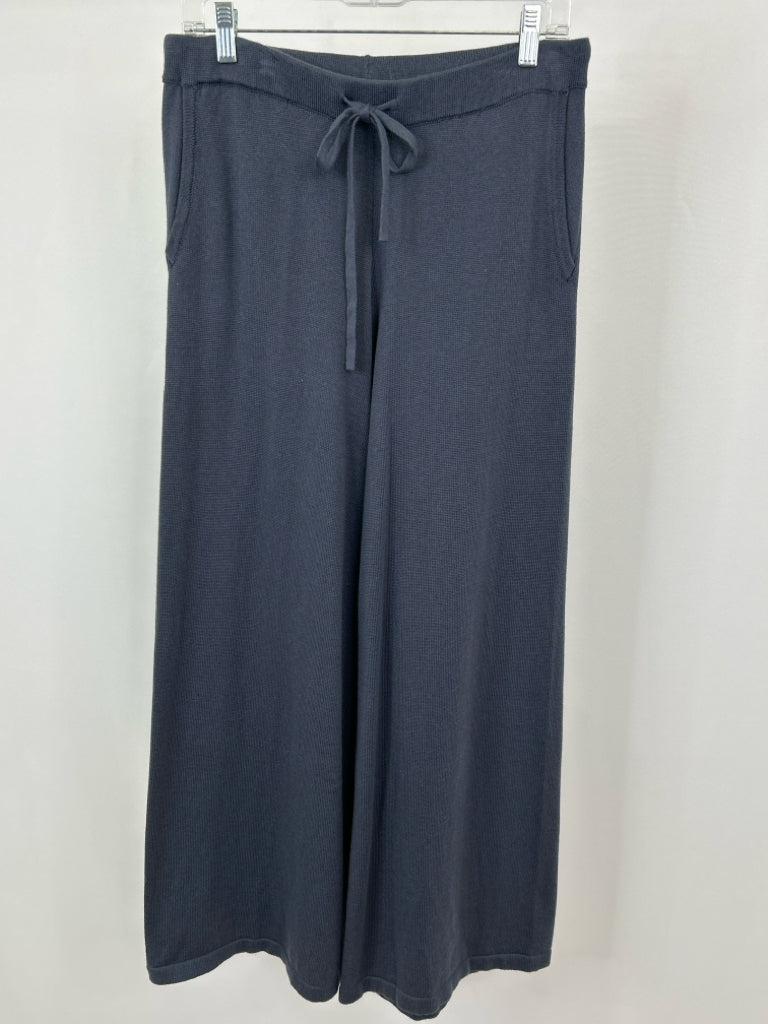 HAVEN Women Size M Blue Pants