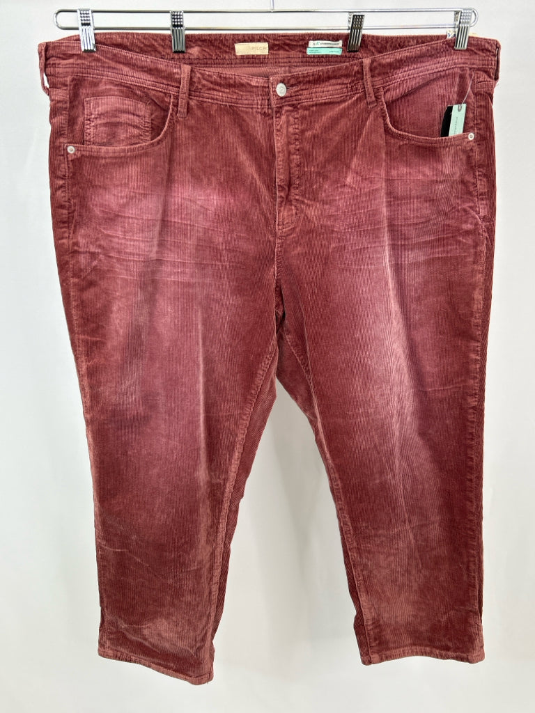 PILCRO Women Size 24W WINE Pants