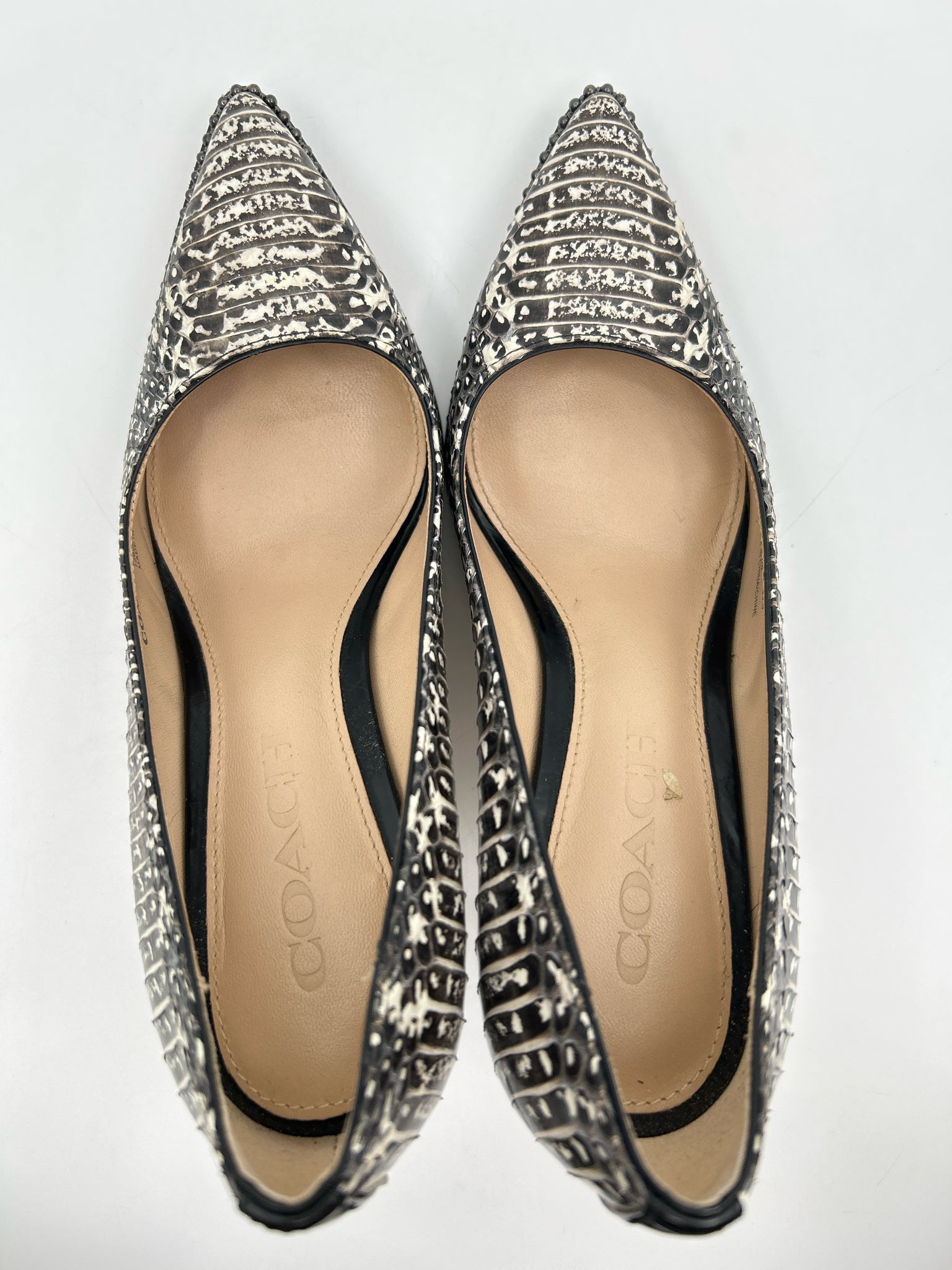 COACH Size 5.5B Brown Print Women Pumps