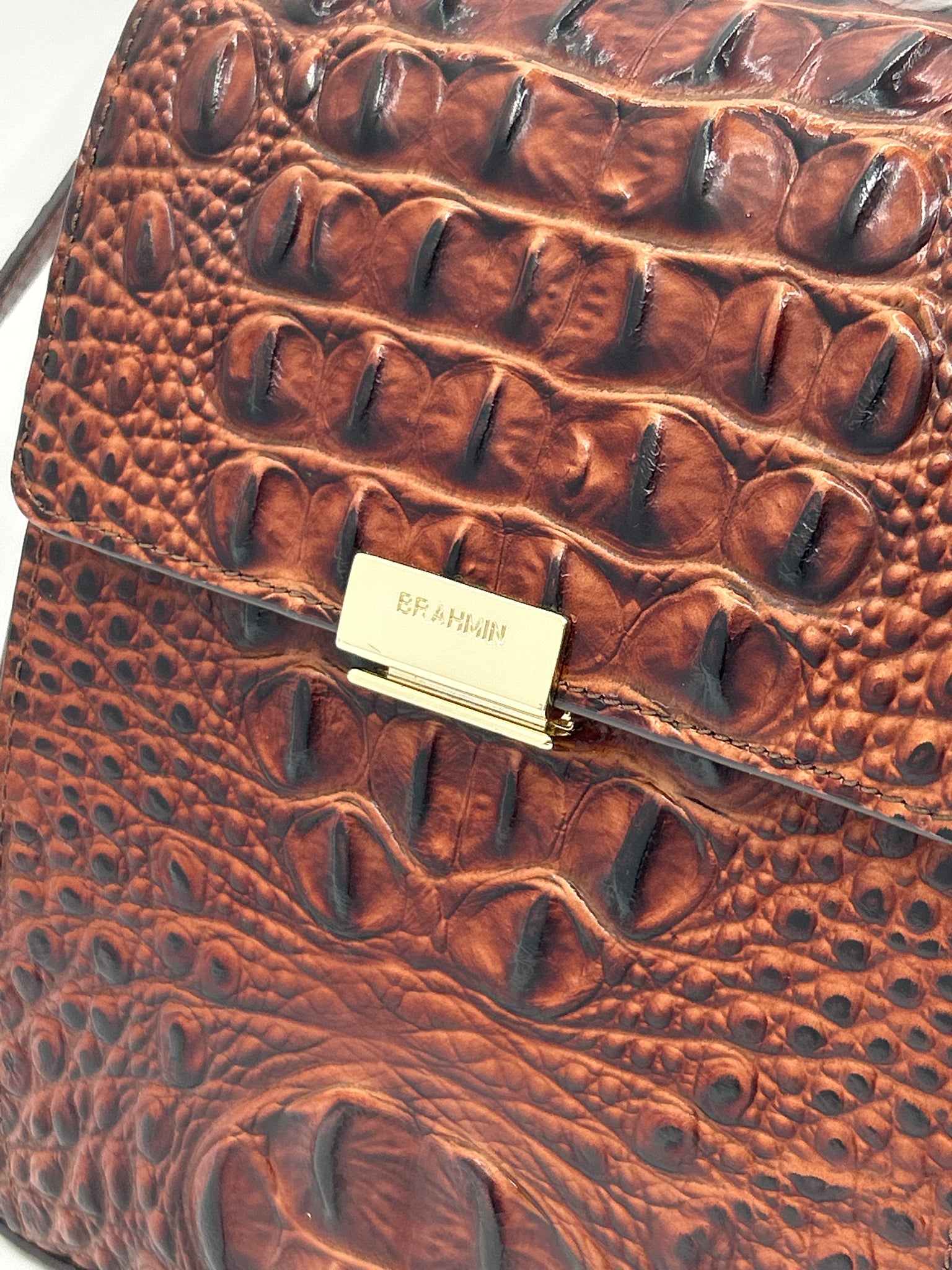 BRAHMIN PECAN Women Purse