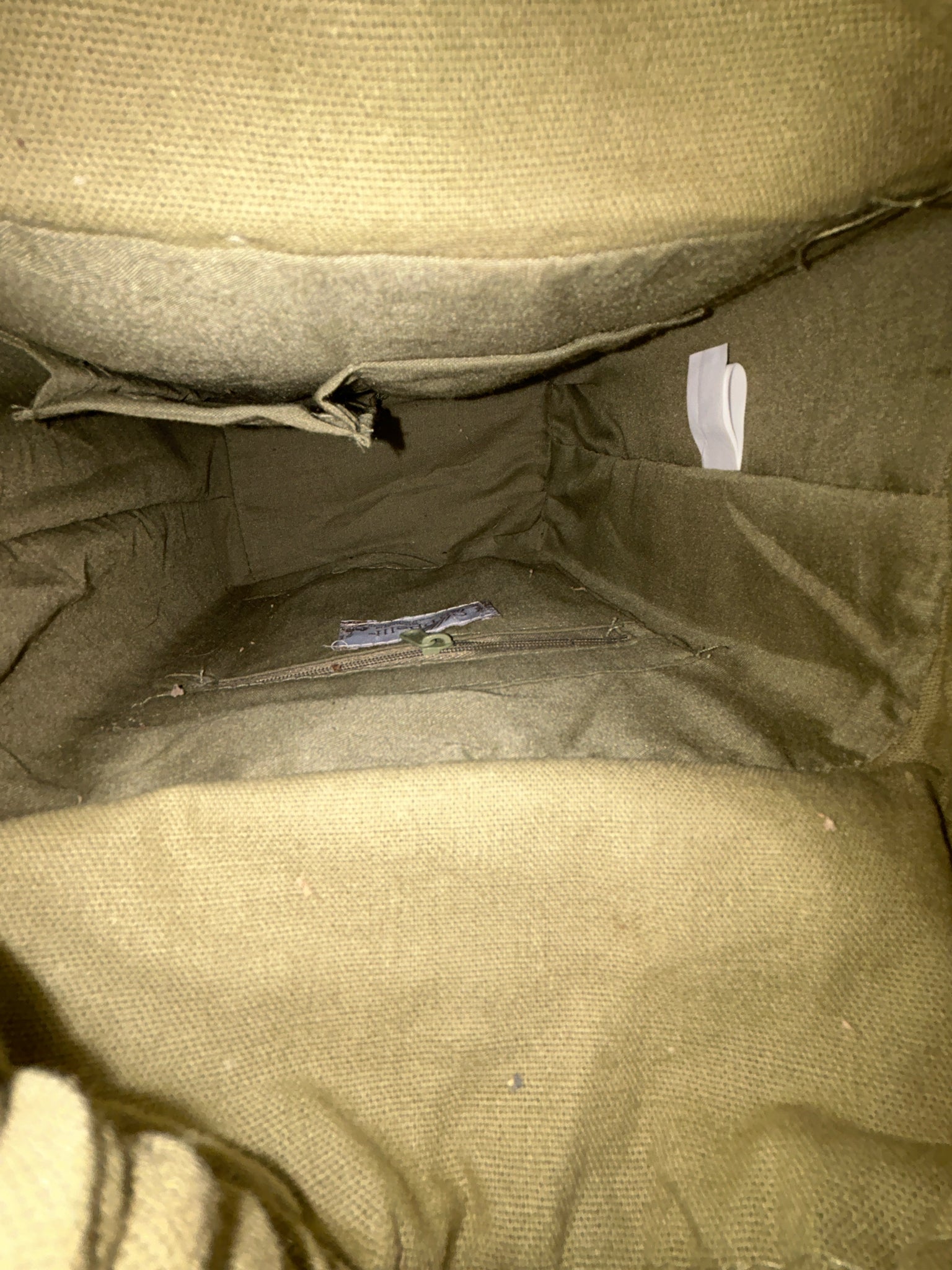 CAPPELLI Straworld NWT OLIVE Women Purse