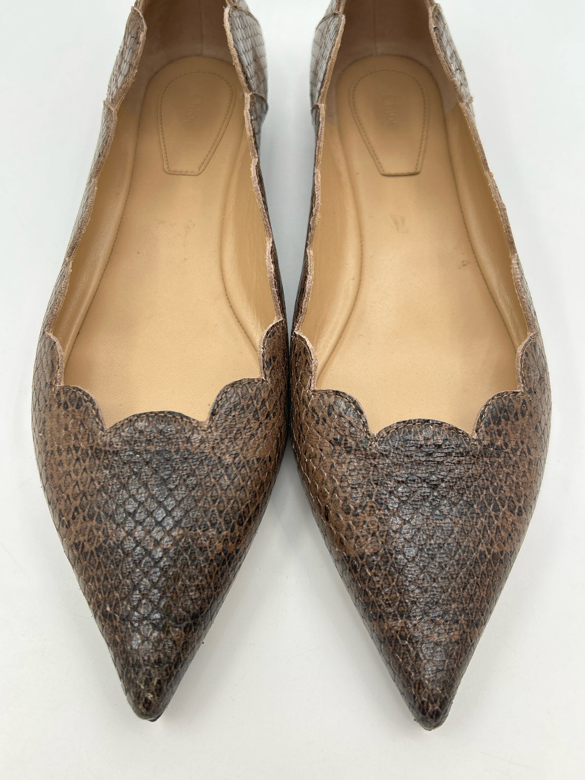 CHLOE Size 39 Brown Print Women Flats