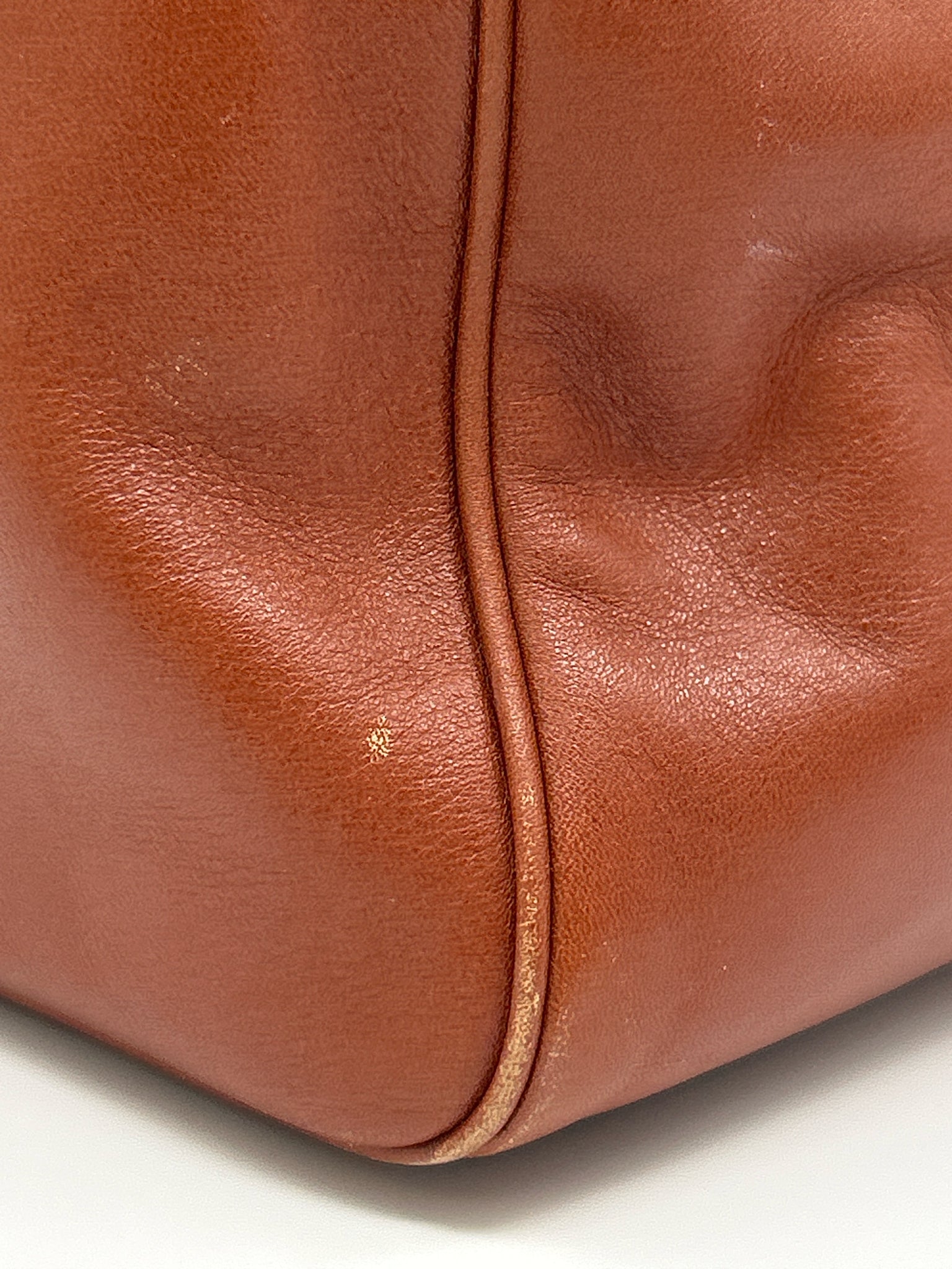 COACH COGNAC Women Purse
