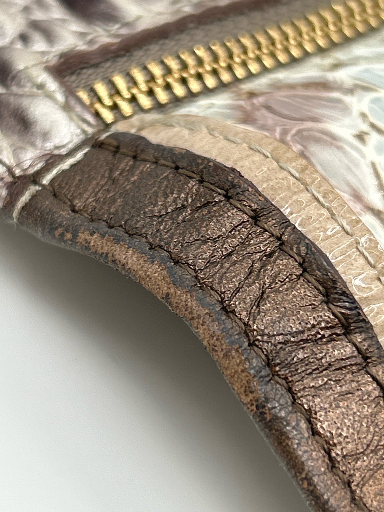 BRAHMIN BROWN AND BLUE Women Wallet