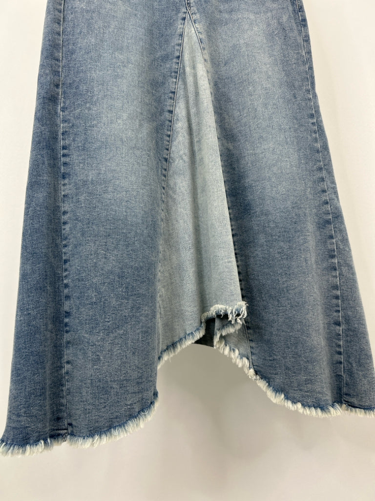 WASH LAB Size 29 Blue Denim Maxi Skirt