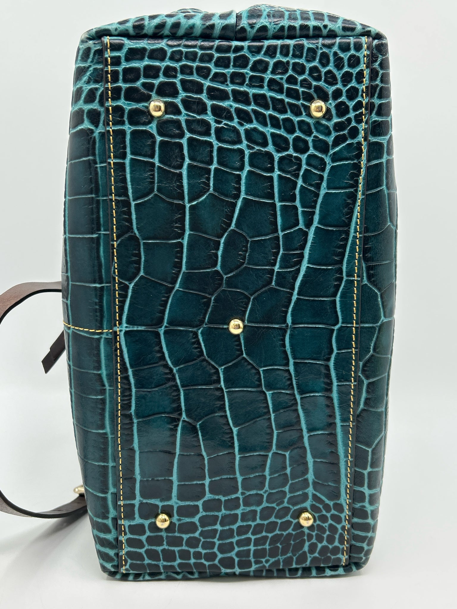 DOONEY & BOURKE TEAL AND BROWN Women Purse