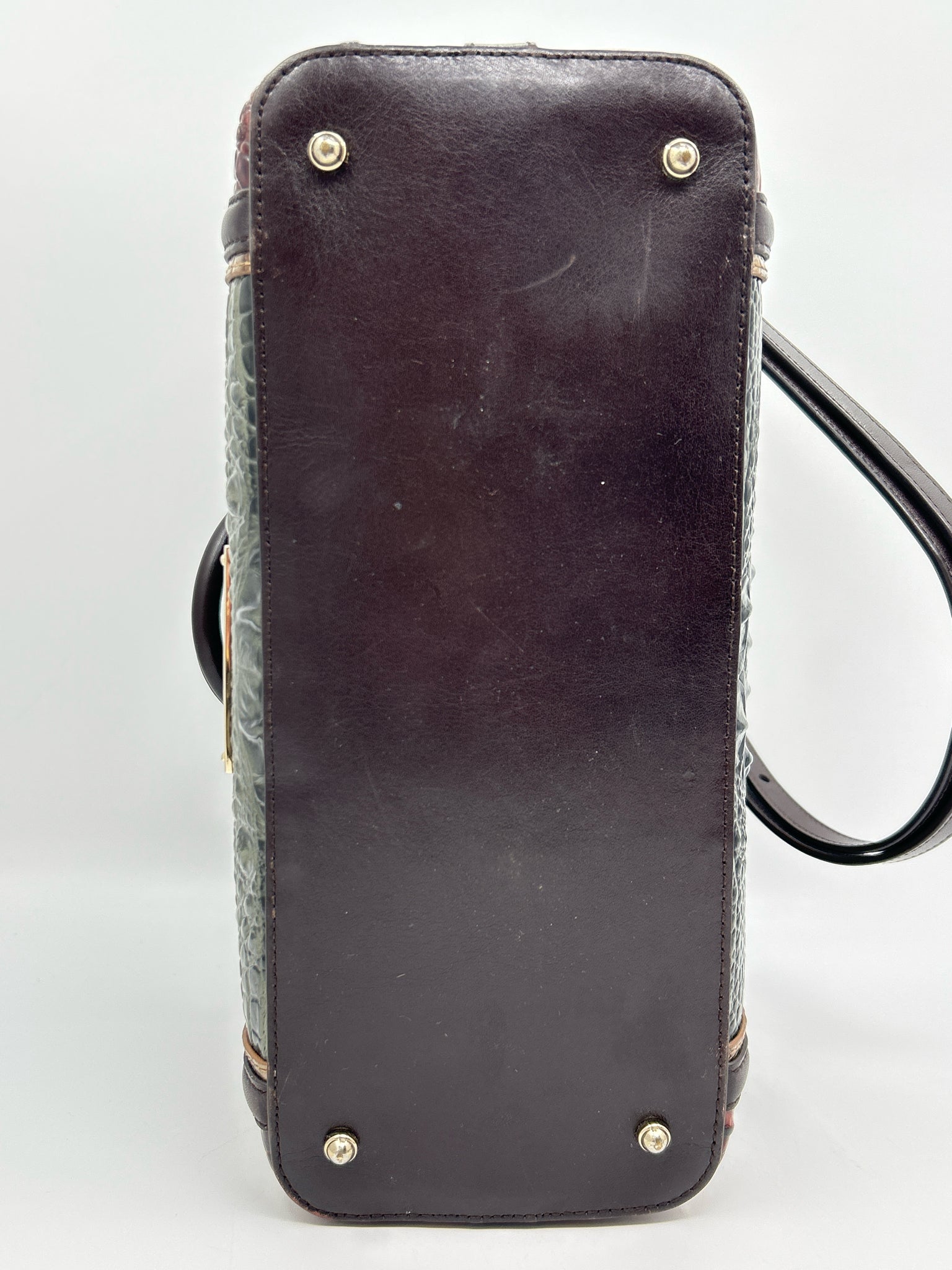 BRAHMIN Pecan and Green Women Purse