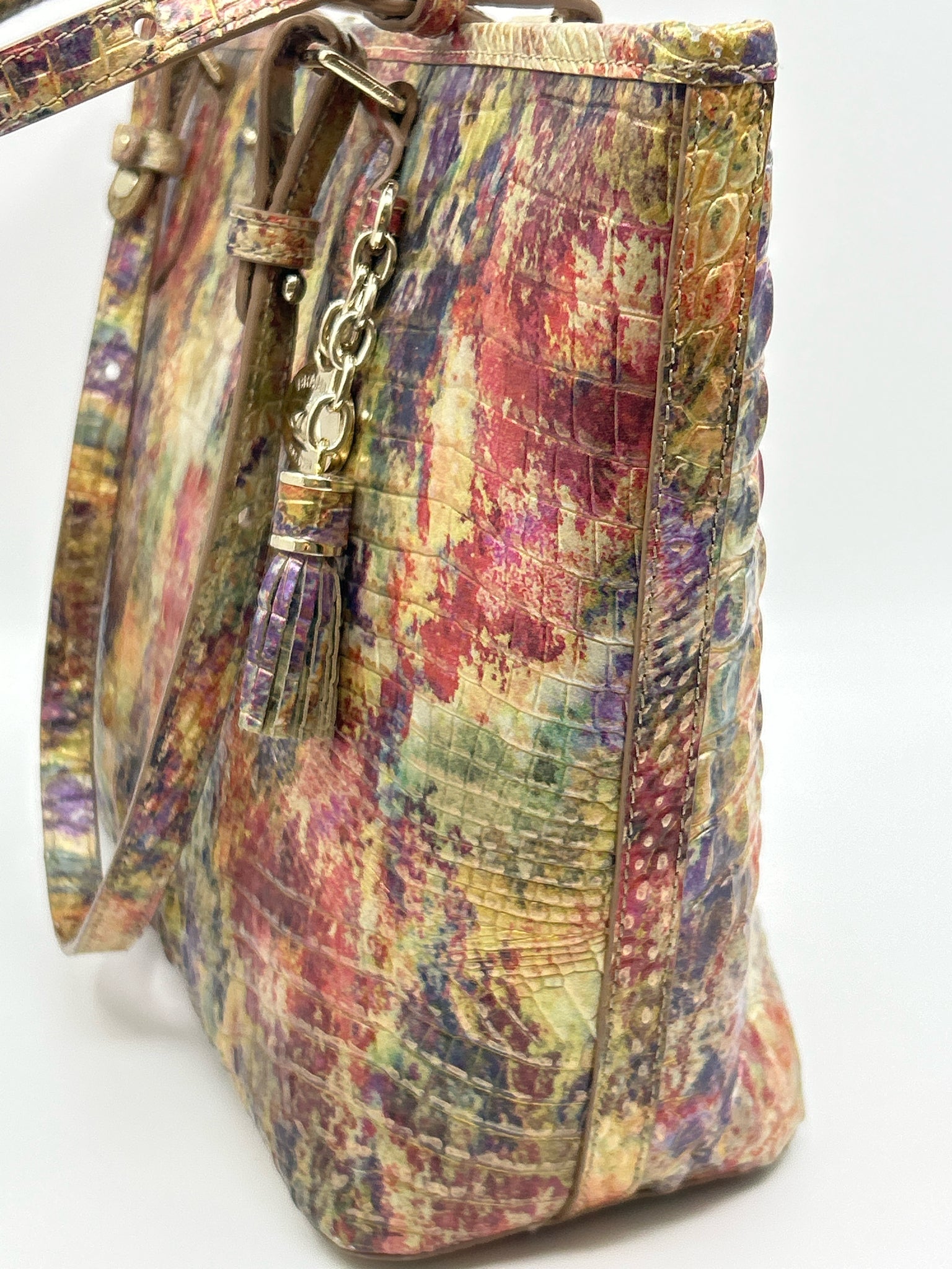 BRAHMIN Multi-Color Women Tote