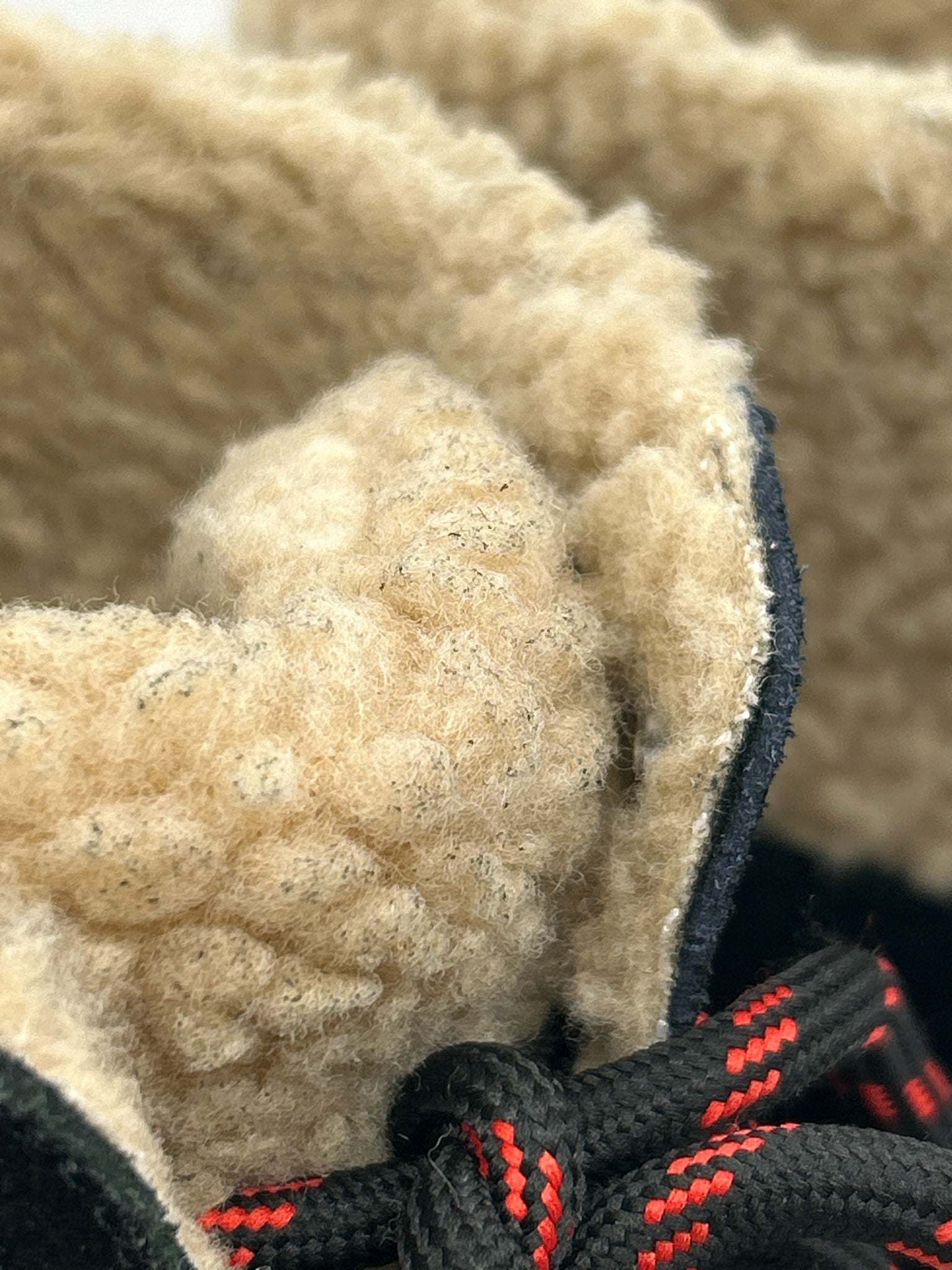 STEVE MADDEN Size 6.5M Black Women Booties