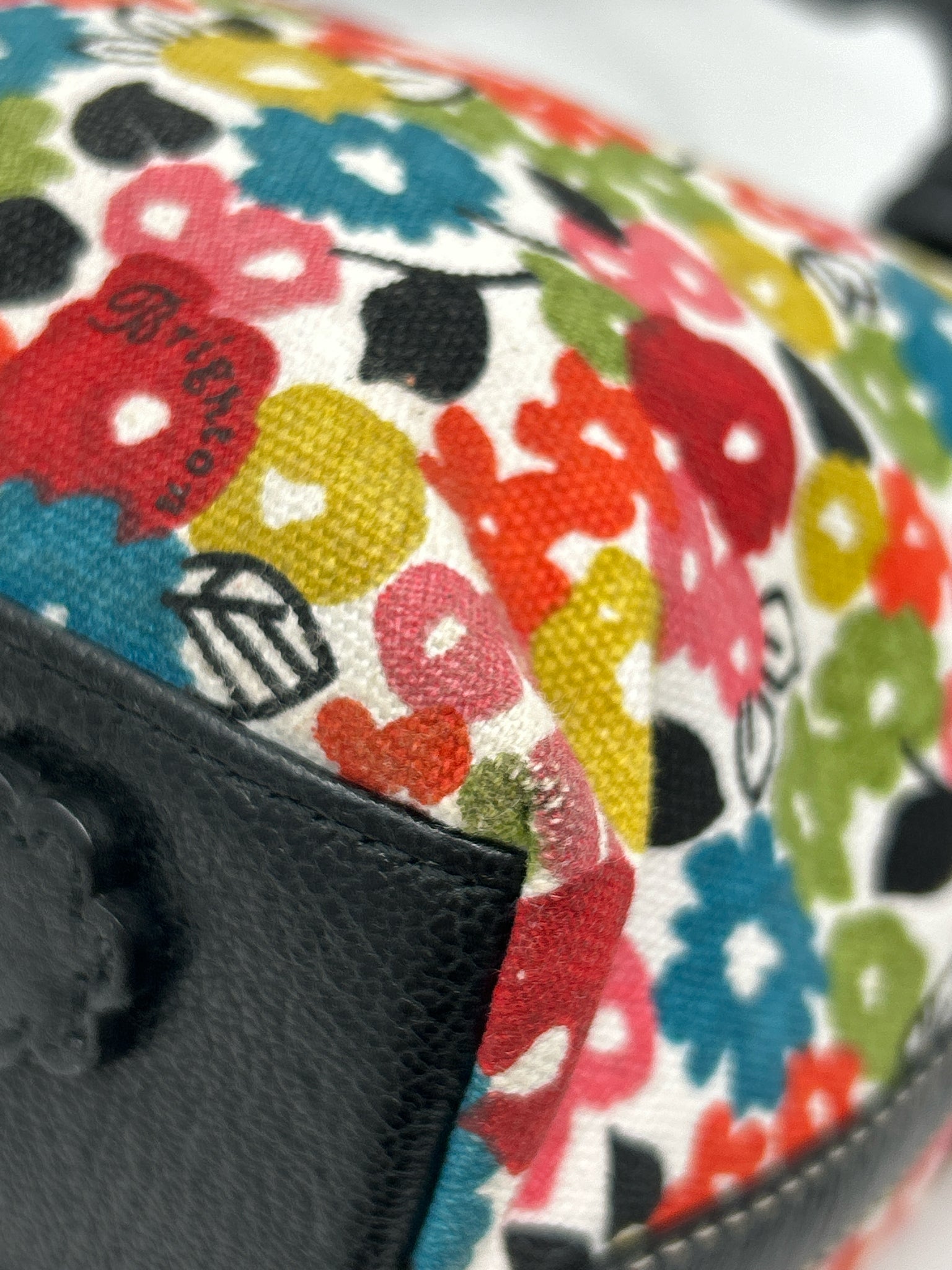 BRIGHTON Multi-Color Women Purse