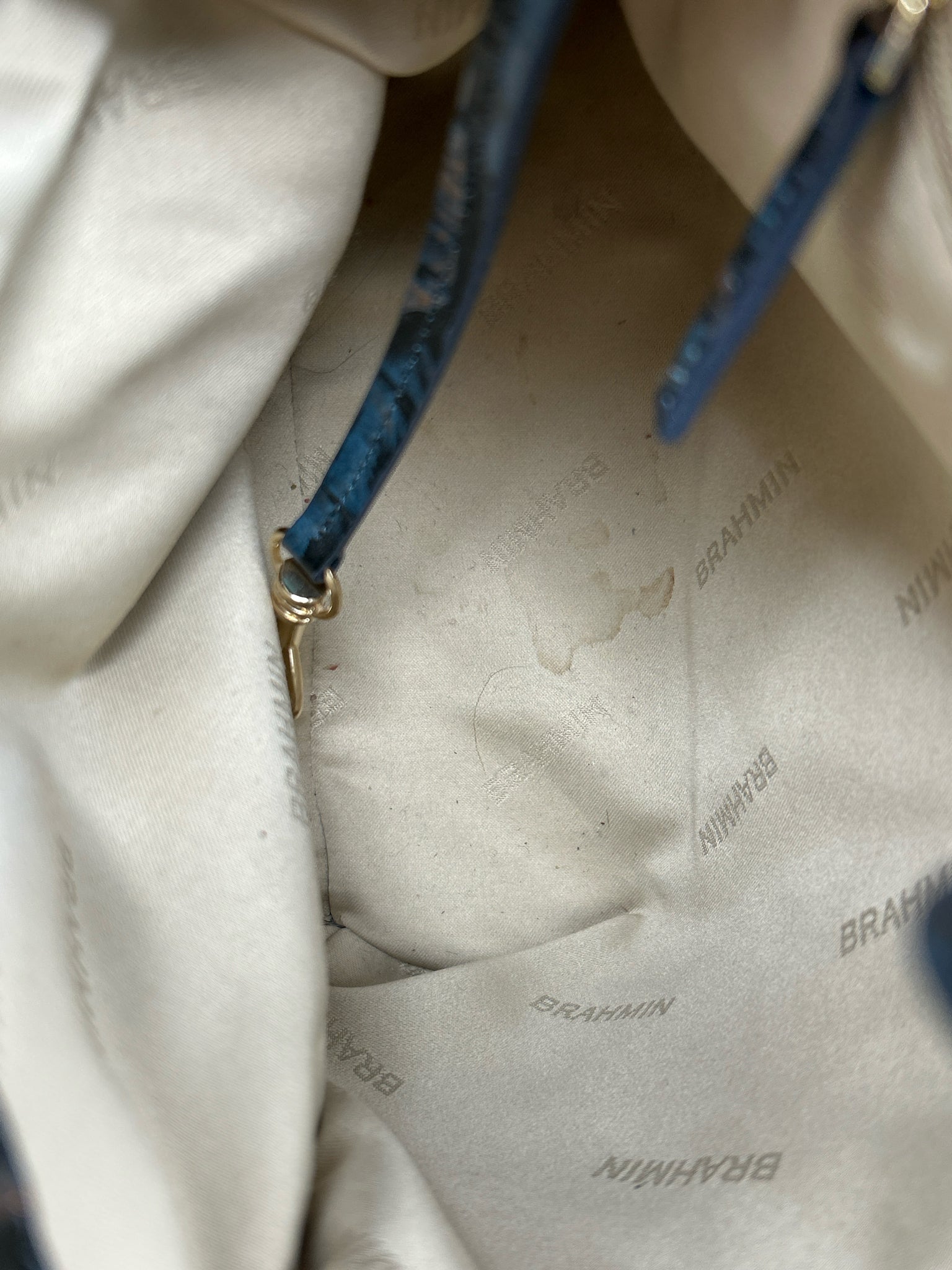 BRAHMIN BLUE AND GREEN Women Purse