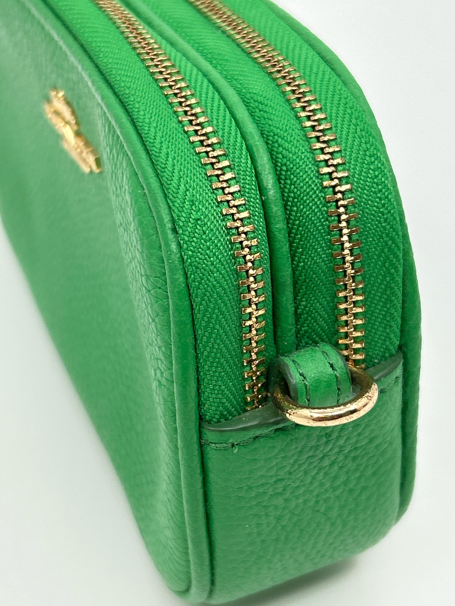 COACH Green Women Purse