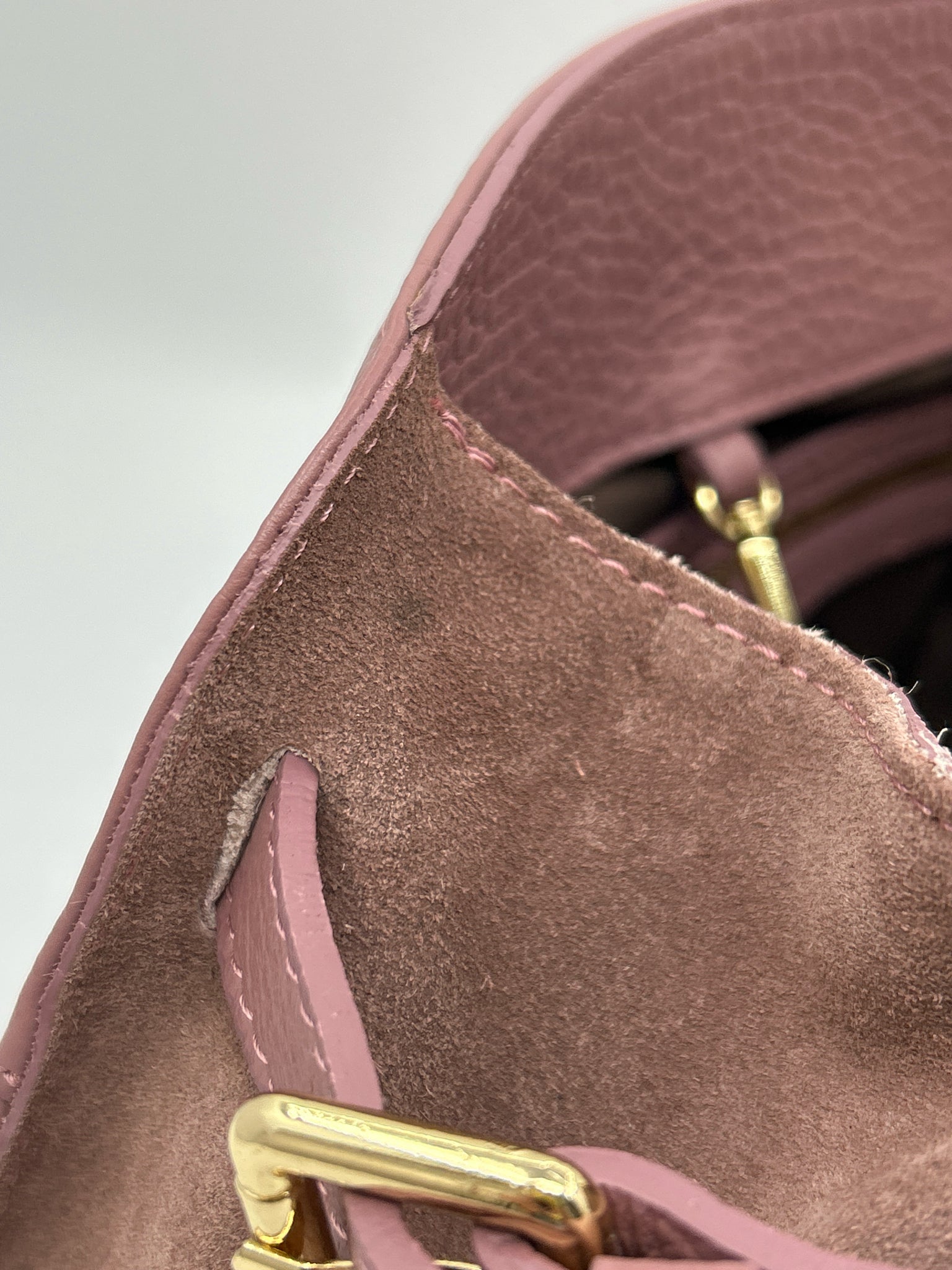 ANNA PAOLA Mauve Women Purse