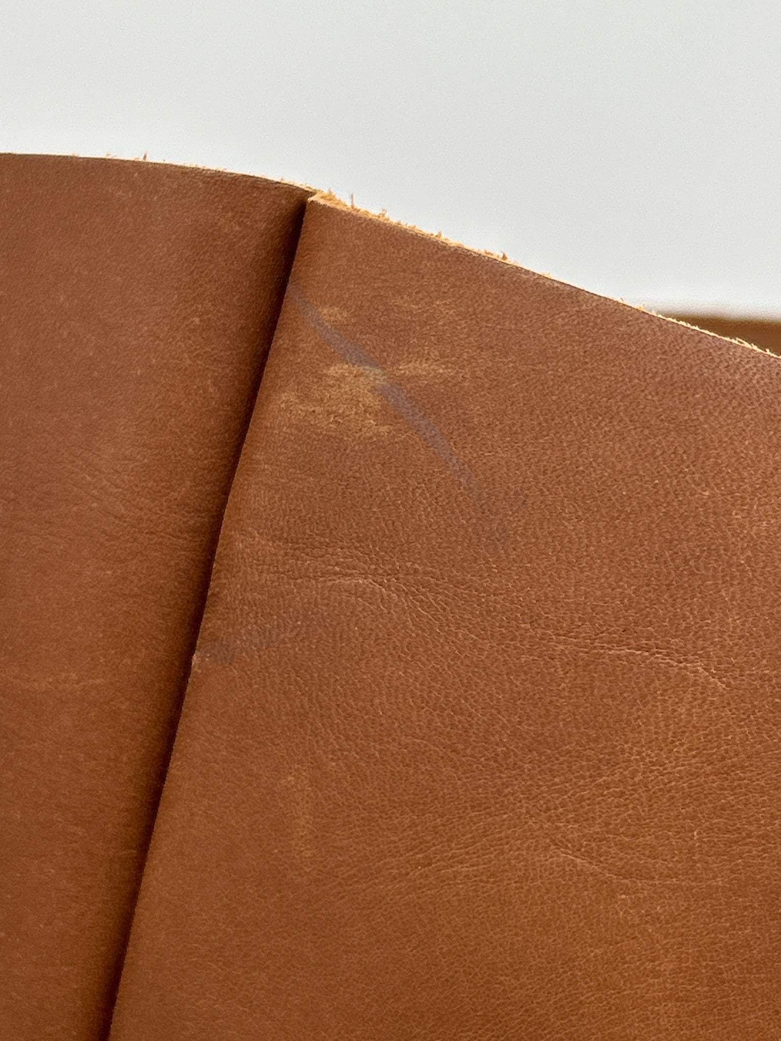 WP STANDARD Tan Women Tote
