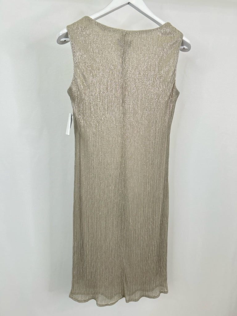 R & M RICHARDS Size 10 Champagne Women's 2-Piece w/dress
