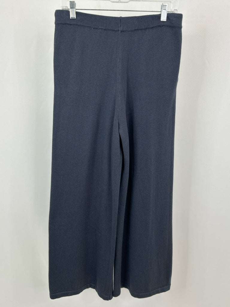 HAVEN Women Size M Blue Pants