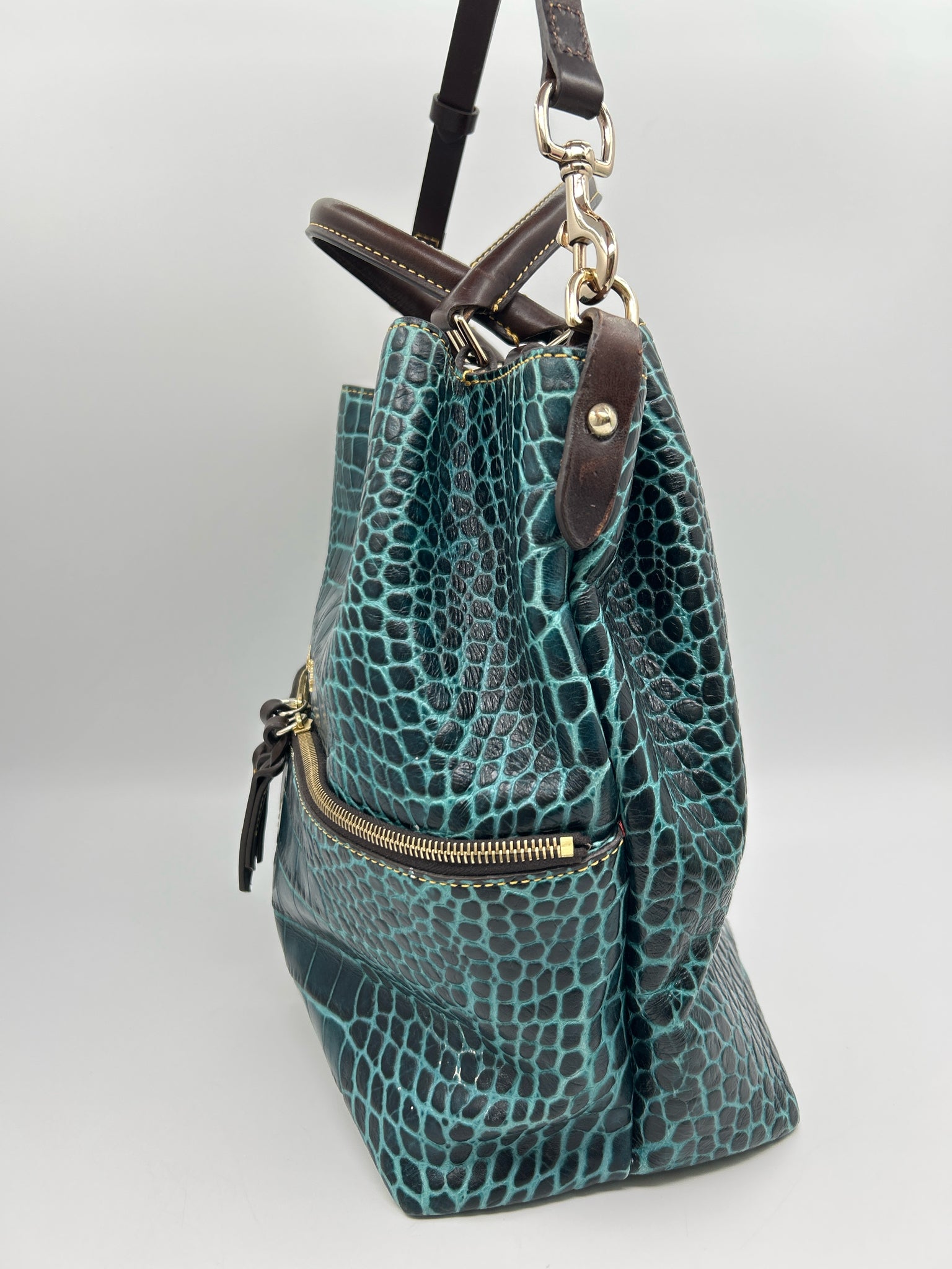 DOONEY & BOURKE TEAL AND BROWN Women Purse