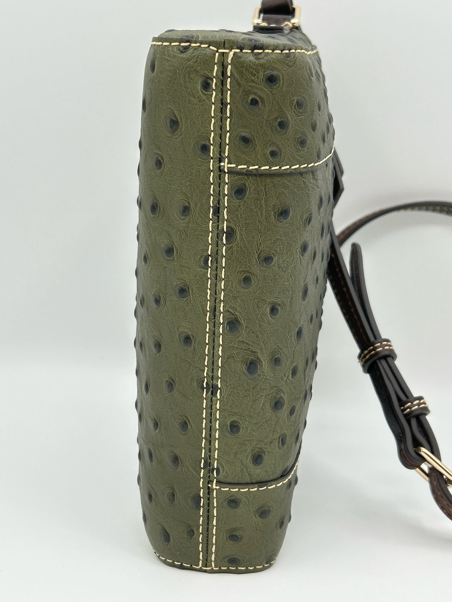 DOONEY & BOURKE GREEN AND BROWN Women Purse