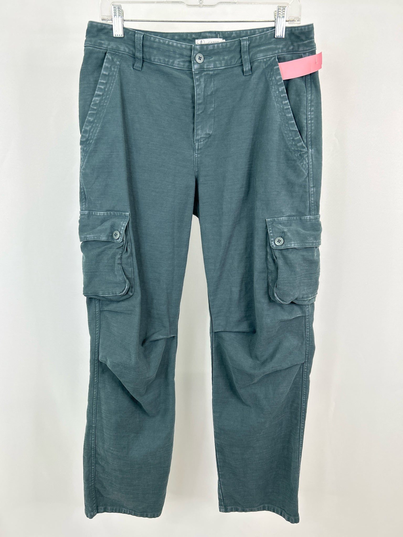 CARVE DESIGNS Size 10 Teal Women Pants