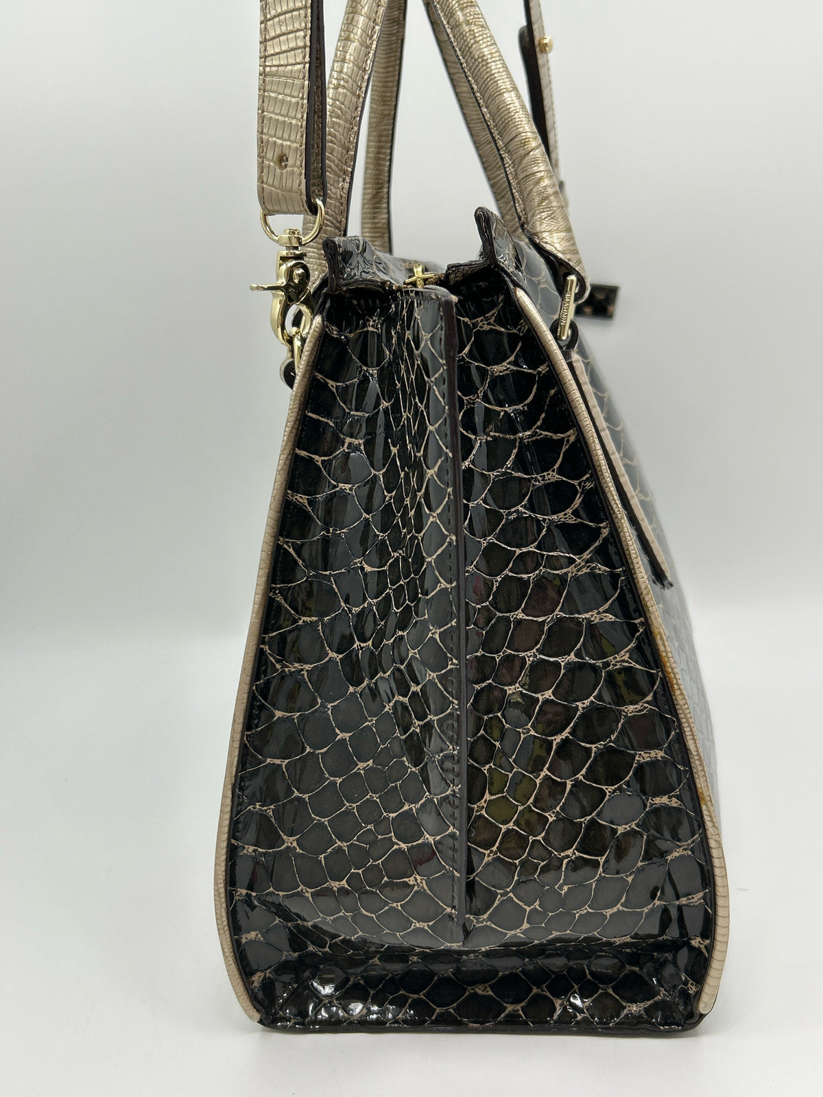 BRAHMIN Black Women Purse