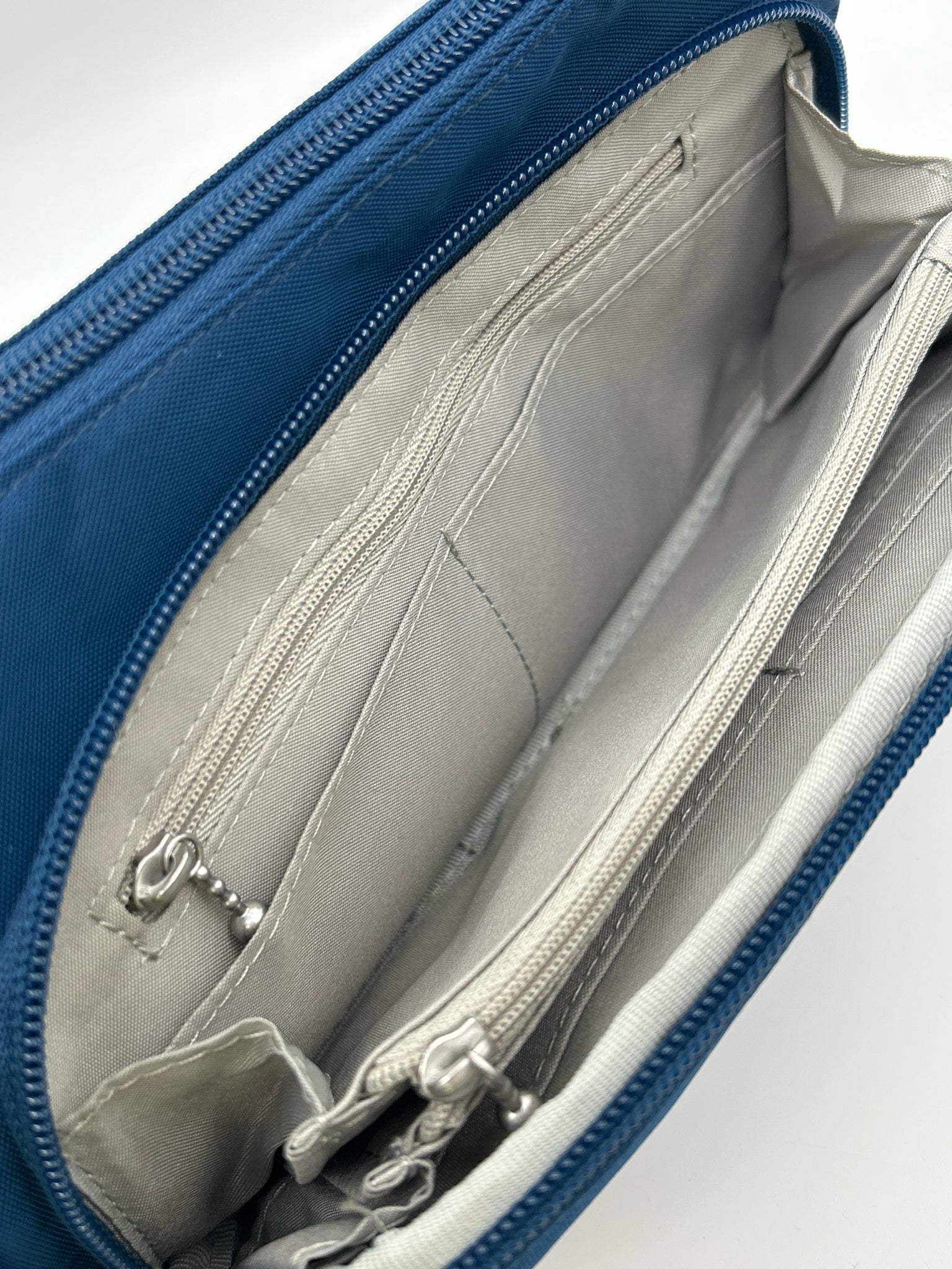 BAGGALLINI Blue Women Purse