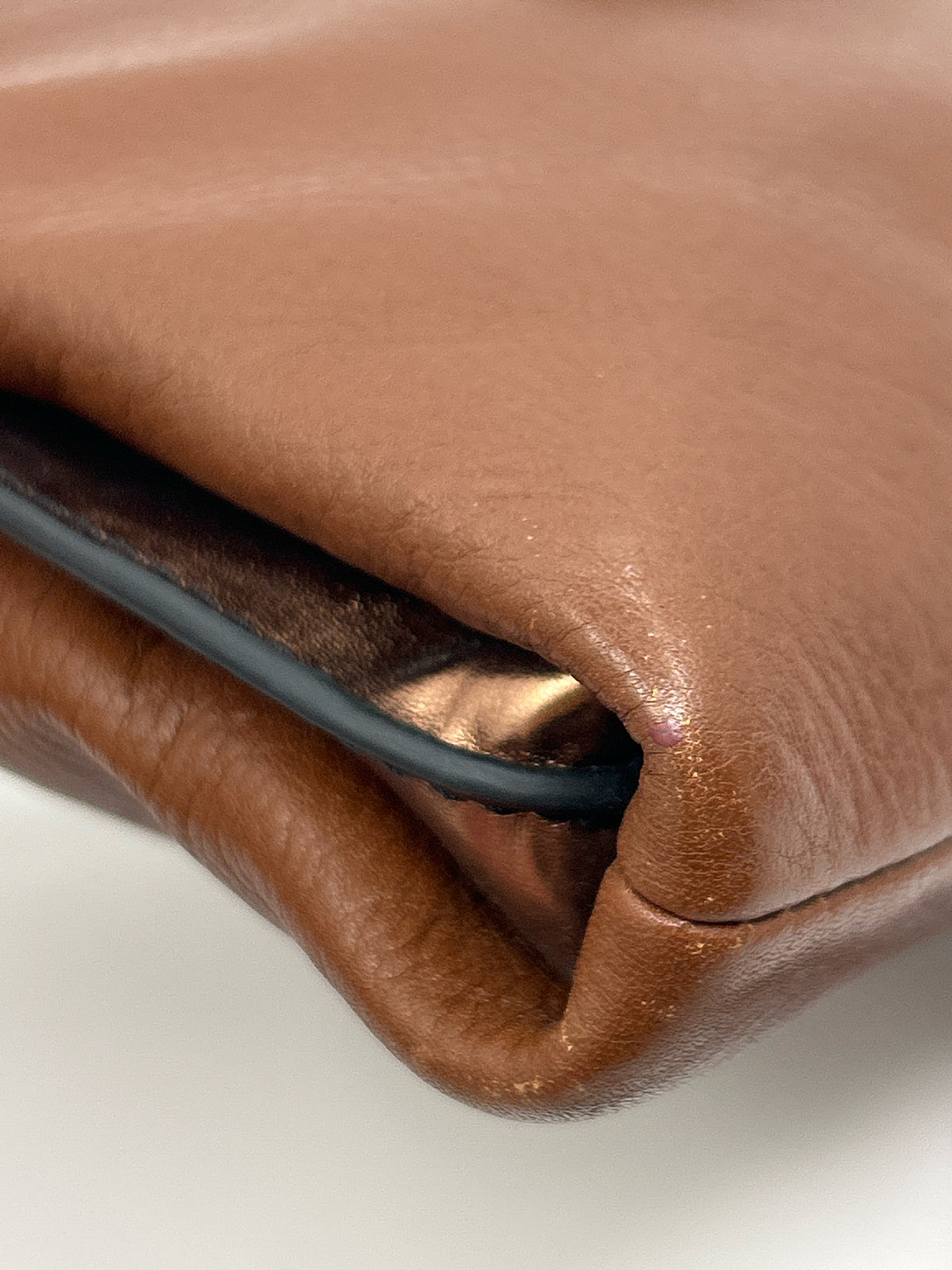FOSSIL Brown Women Purse