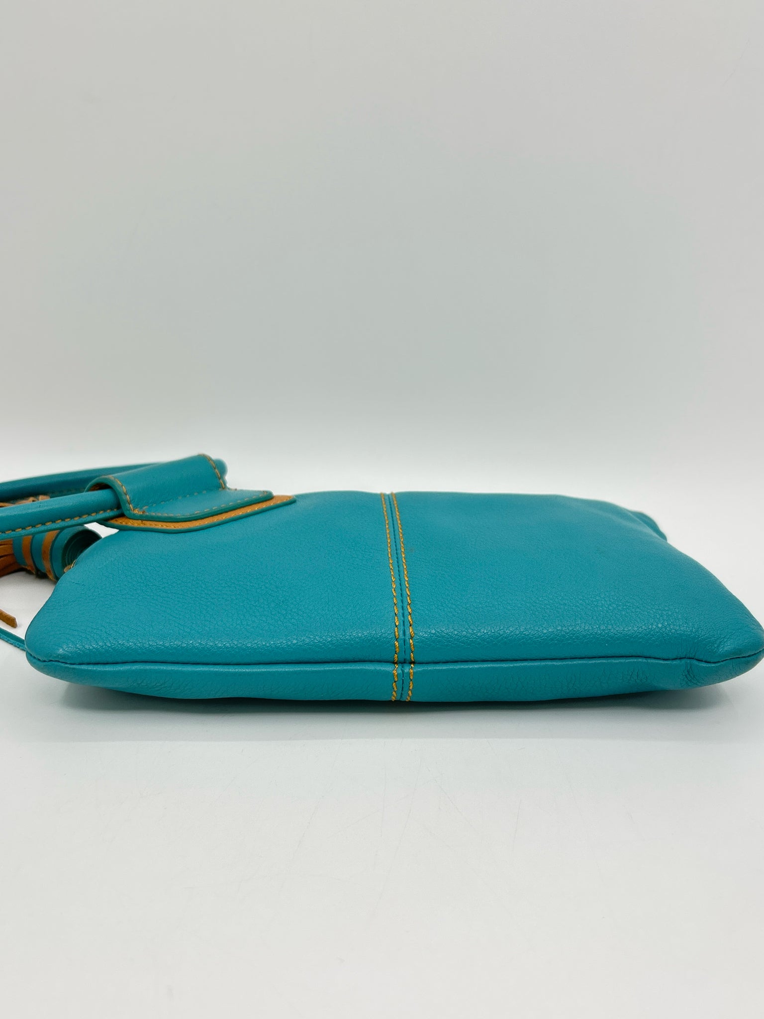 HOBO AQUA Women Purse