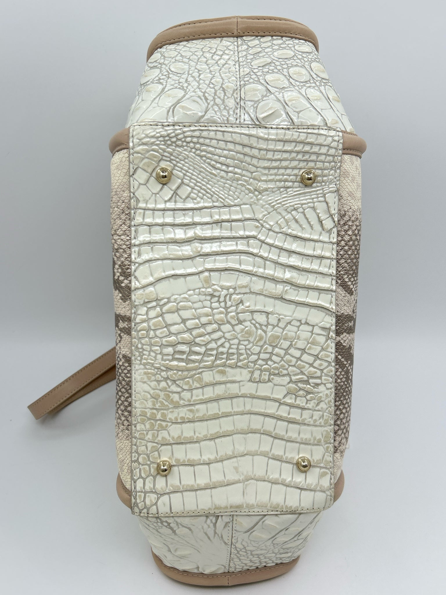 BRAHMIN NWT Beige Print Women Purse