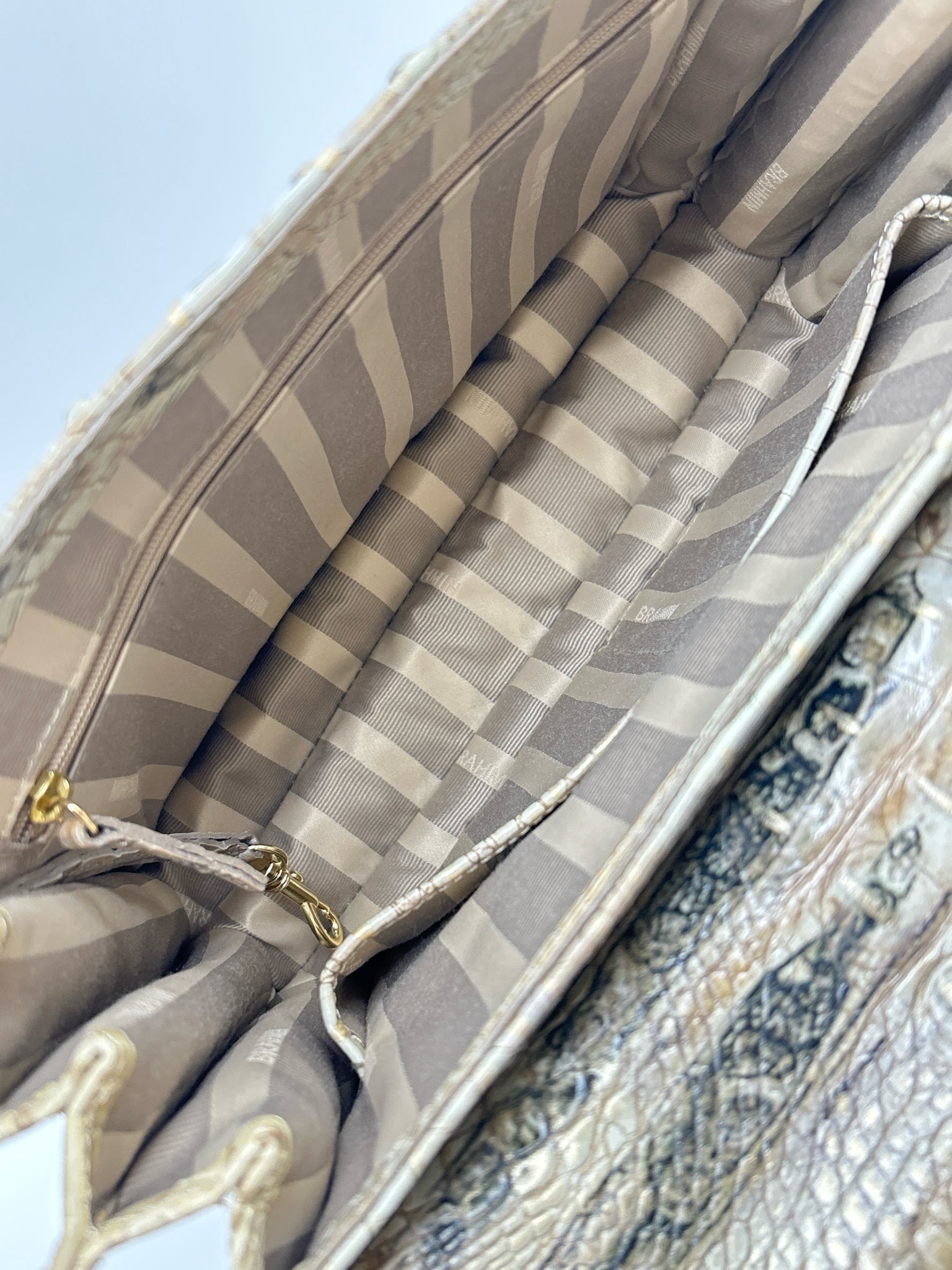 BRAHMIN BROWN AND BEIGE Women Purse