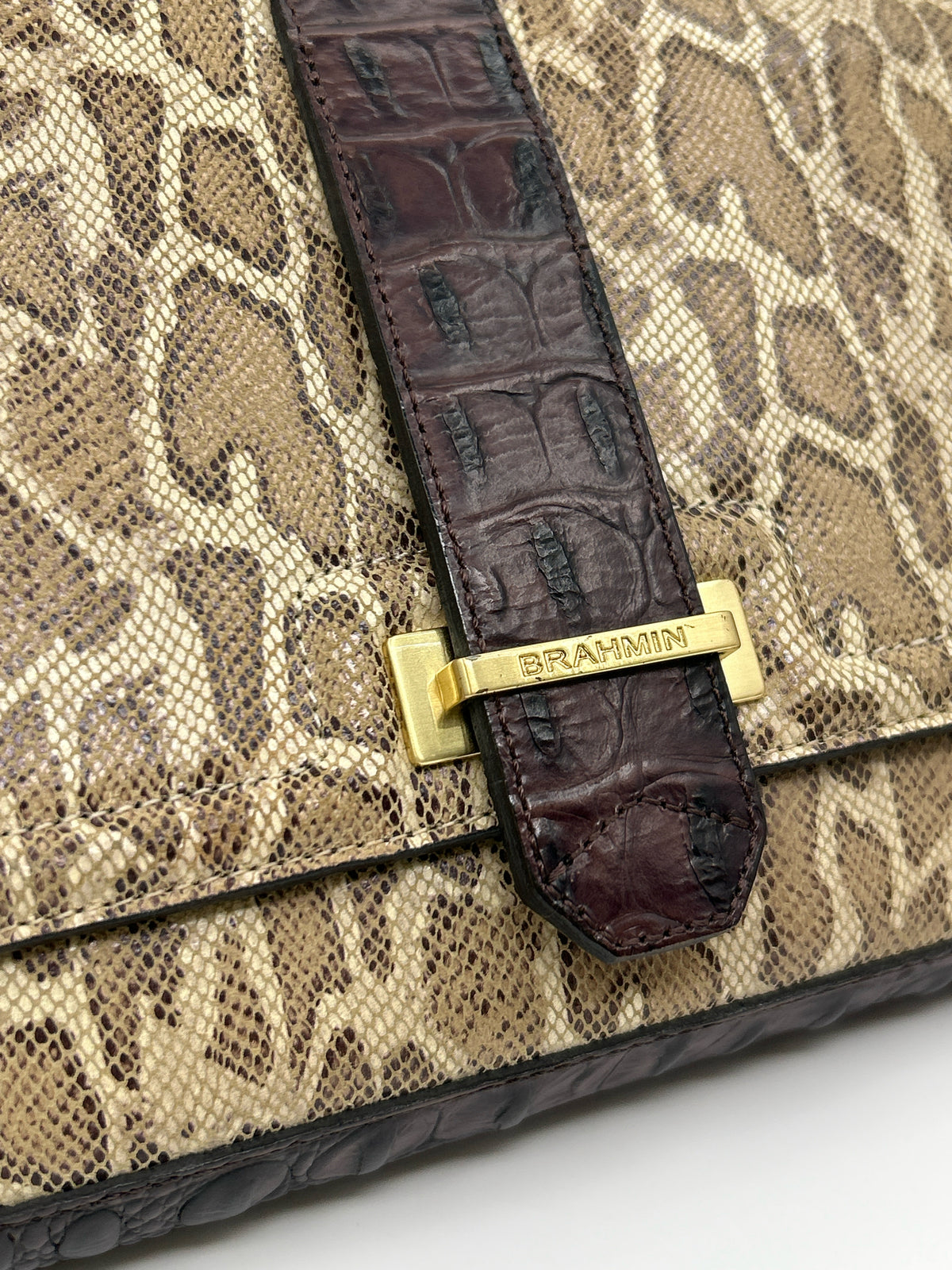 BRAHMIN BROWN AND BEIGE Women Purse