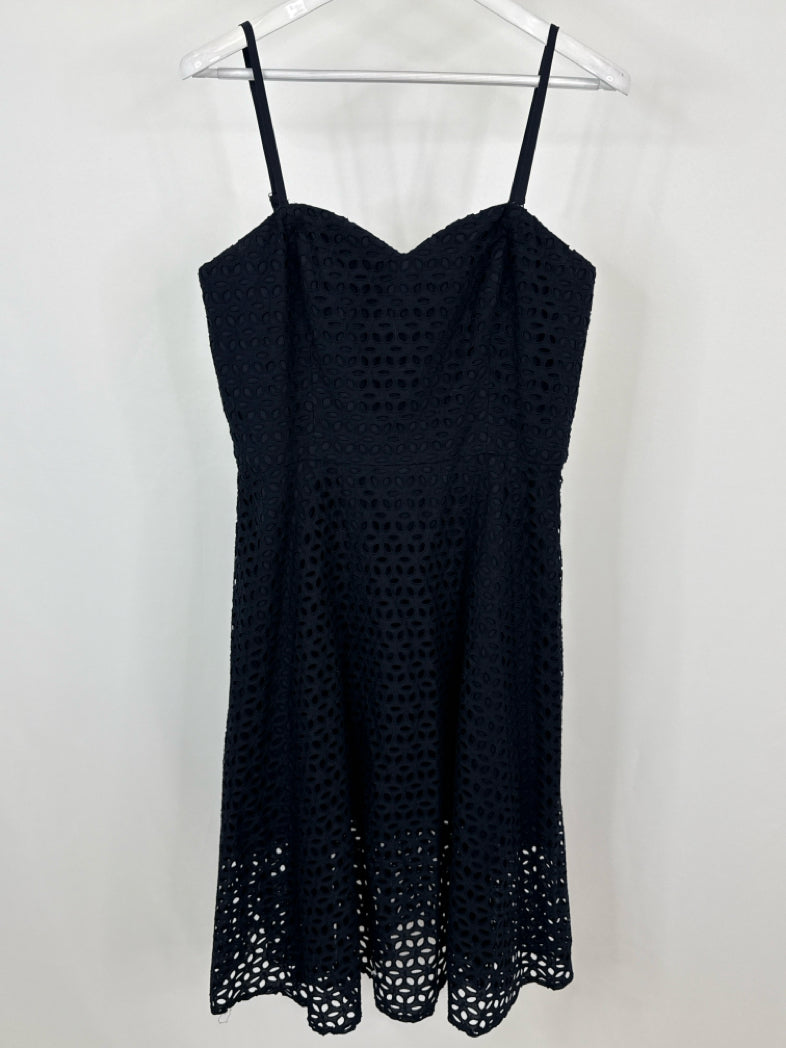 ANN TAYLOR Size 12 Navy Women Dress