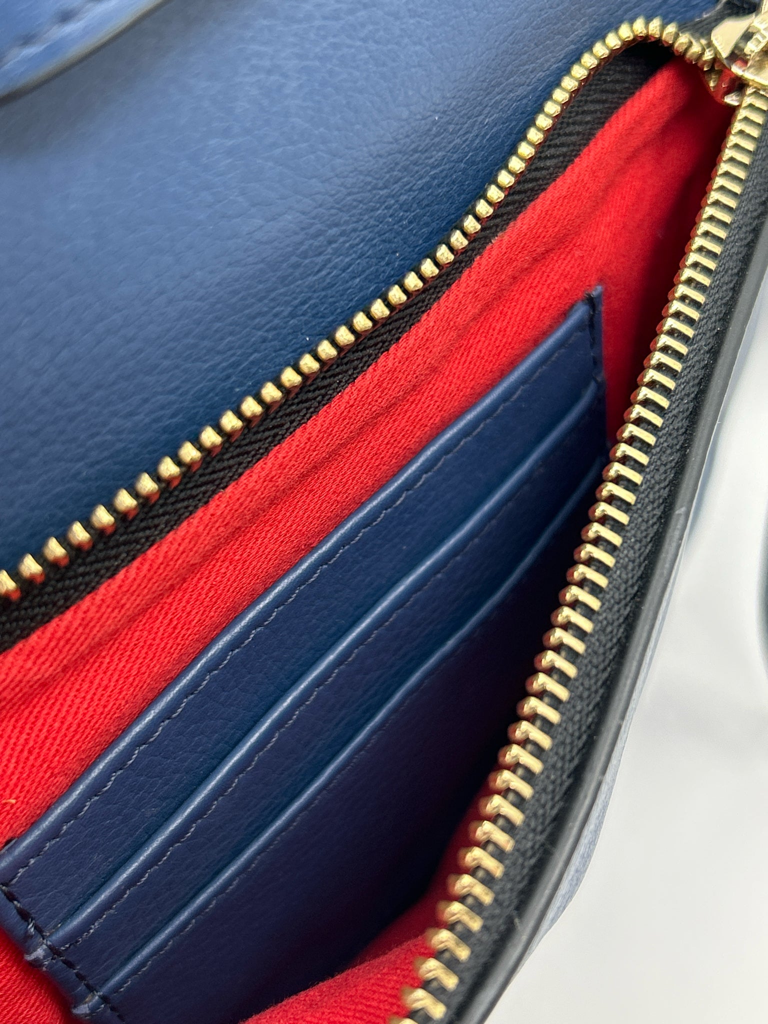 LODIS Blue Women Backpack