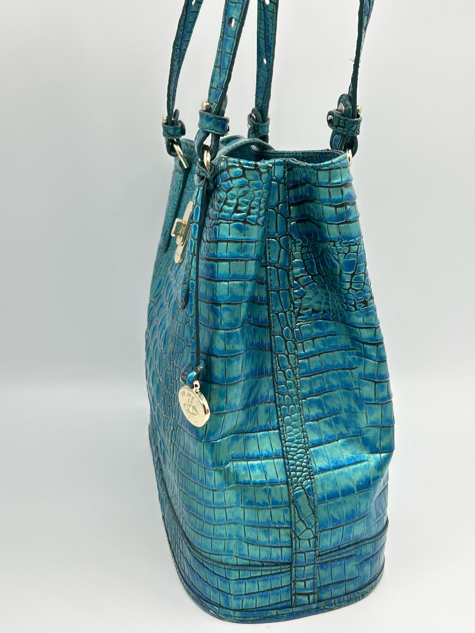 BRAHMIN Teal Women Purse