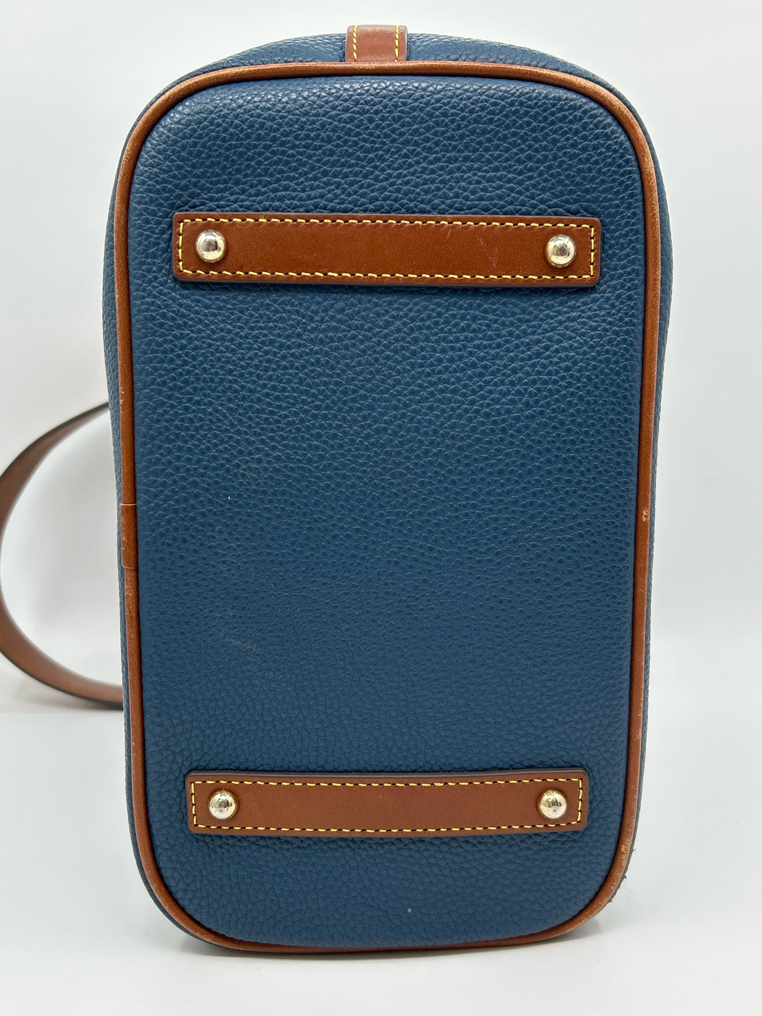 DOONEY & BOURKE Blue and Brown Women Purse
