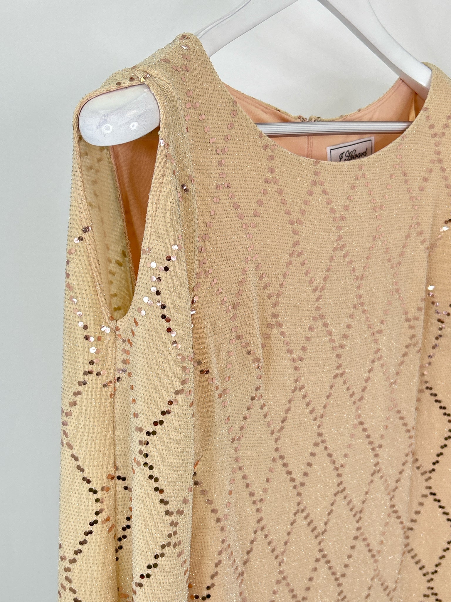 J Howard Size 8 Beige Women Dress NWT