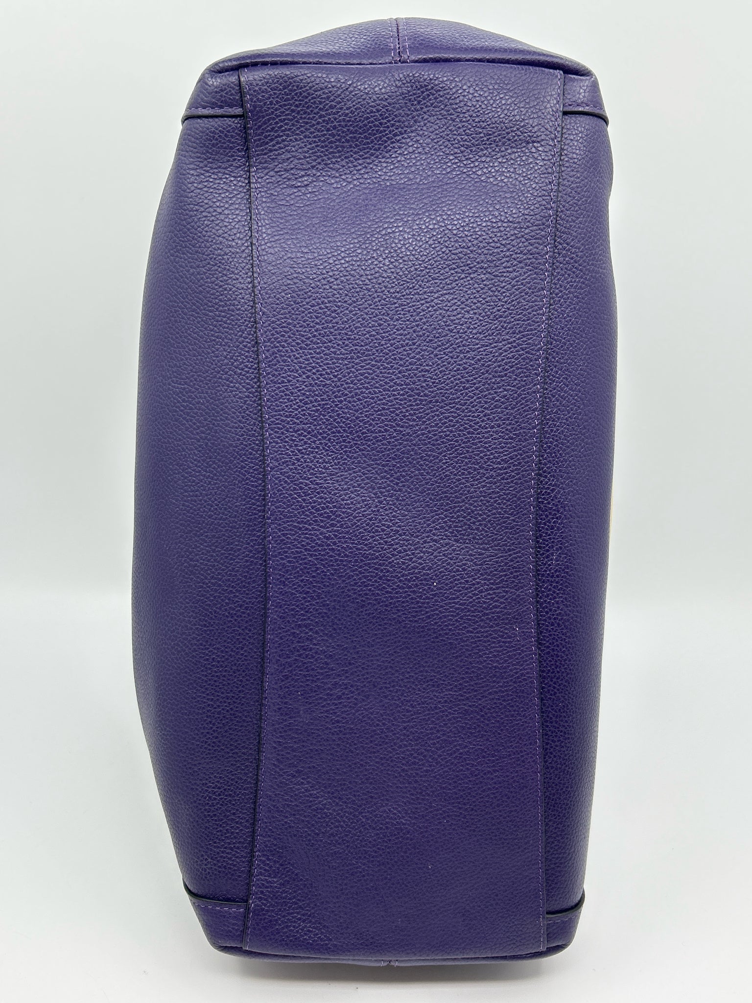 COACH Purple Women Purse