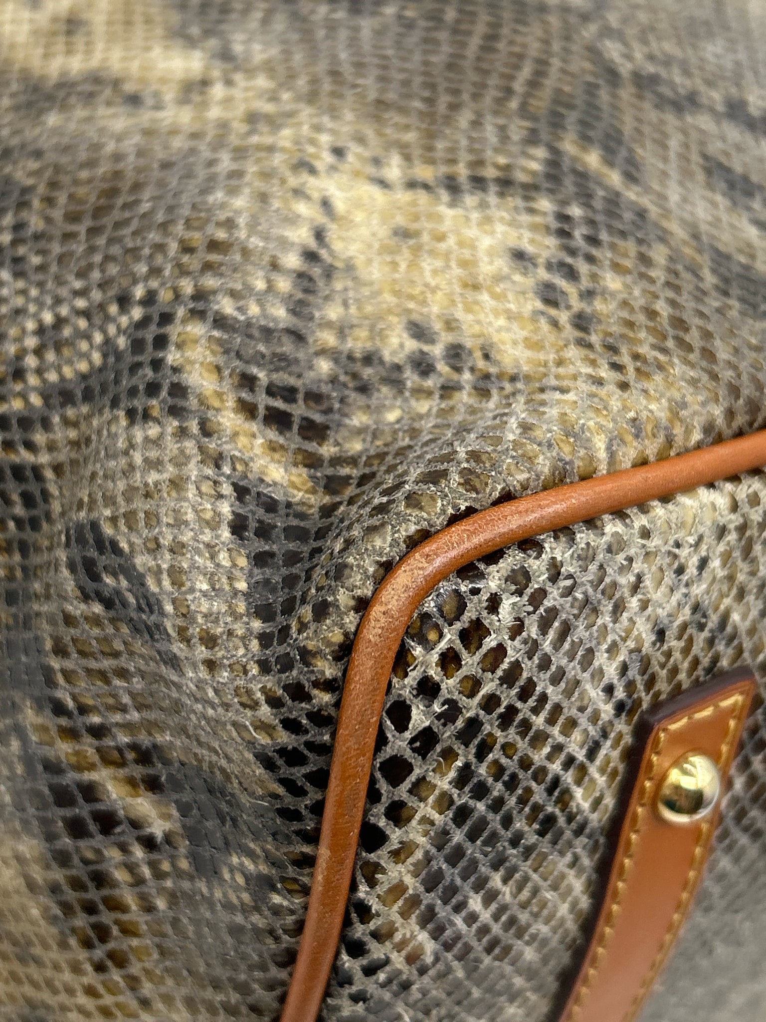 DOONEY & BOURKE Brown Print Women Tote