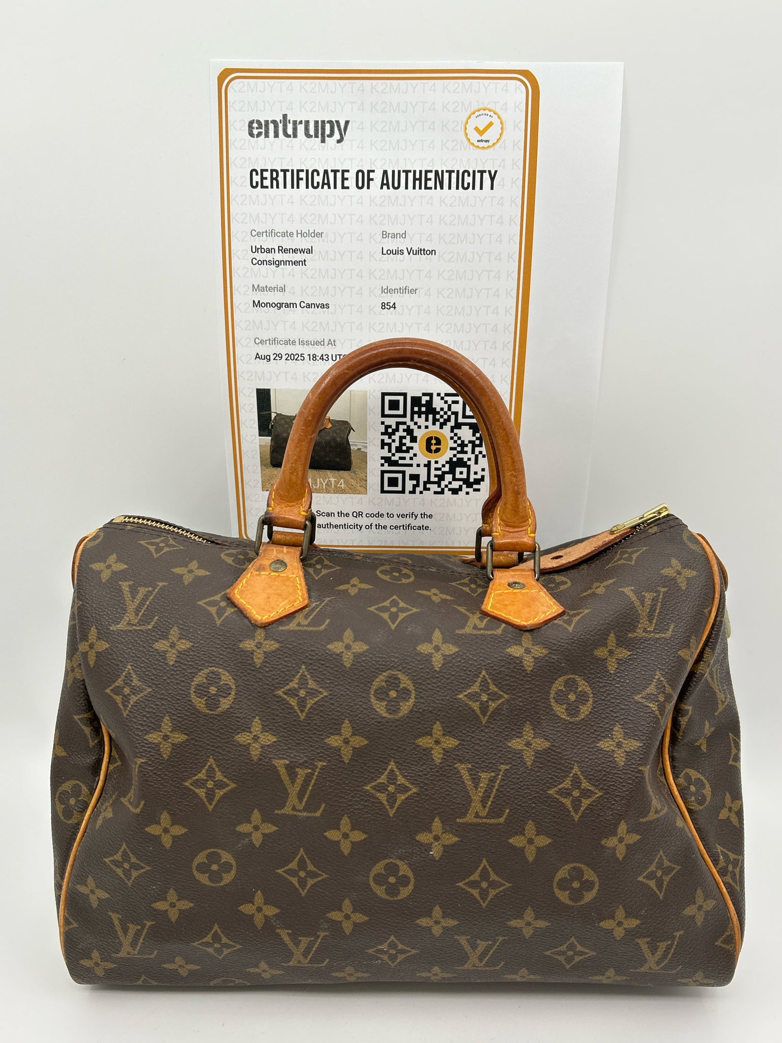 LOUIS VUITTON Brown Speedy 30 Women Purse
