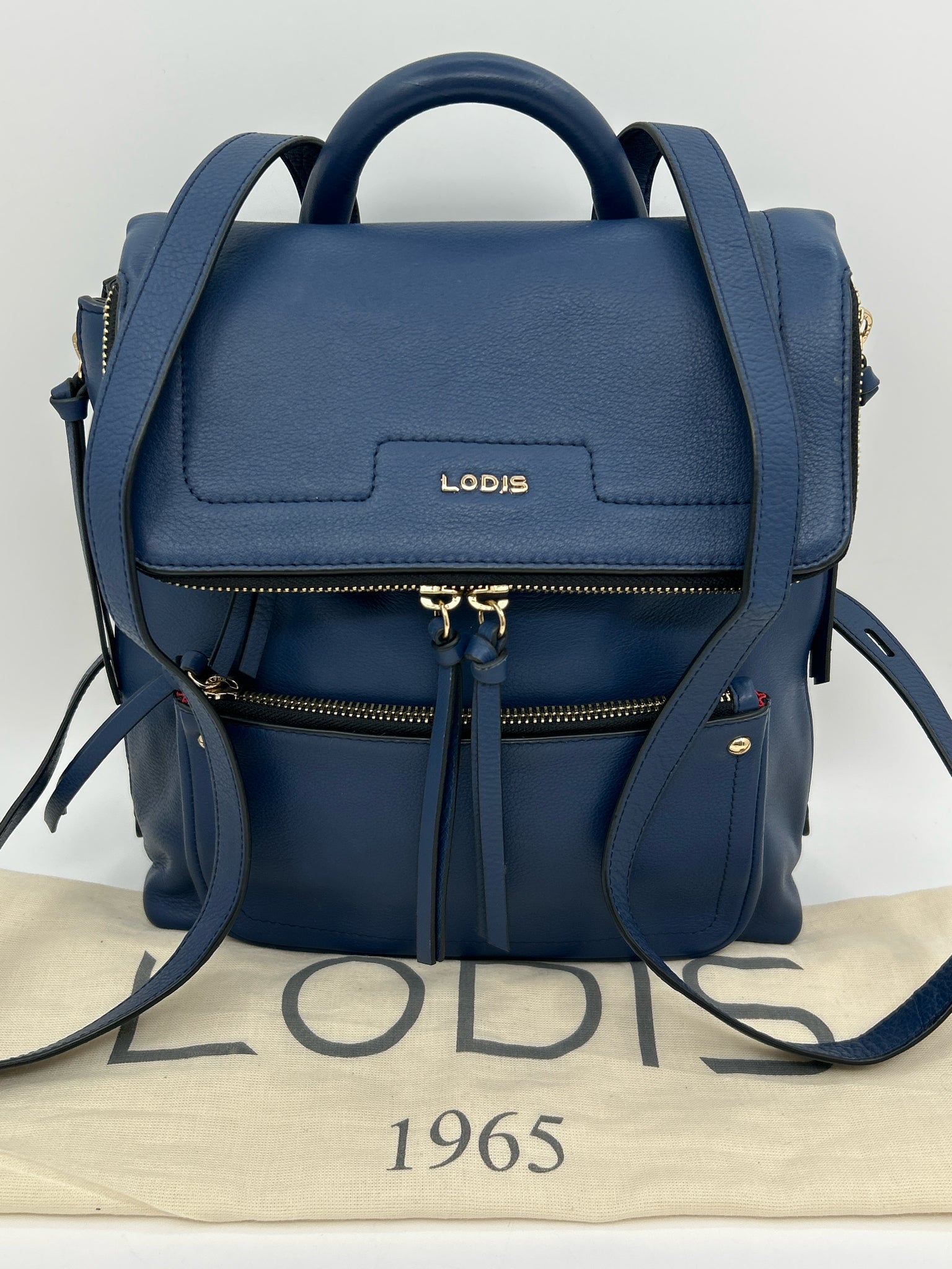 LODIS Blue Women Backpack