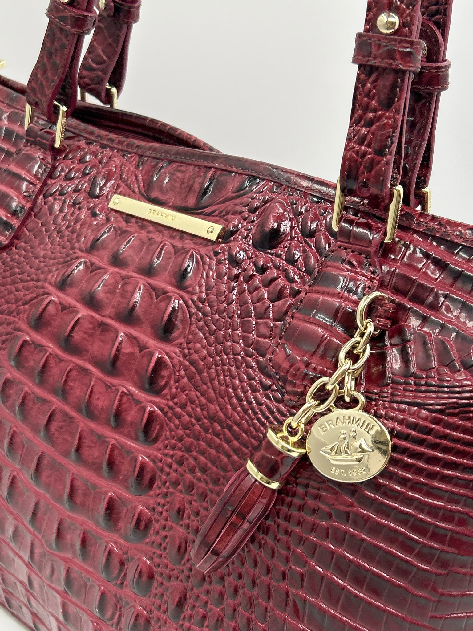 BRAHMIN FIG Women Tote