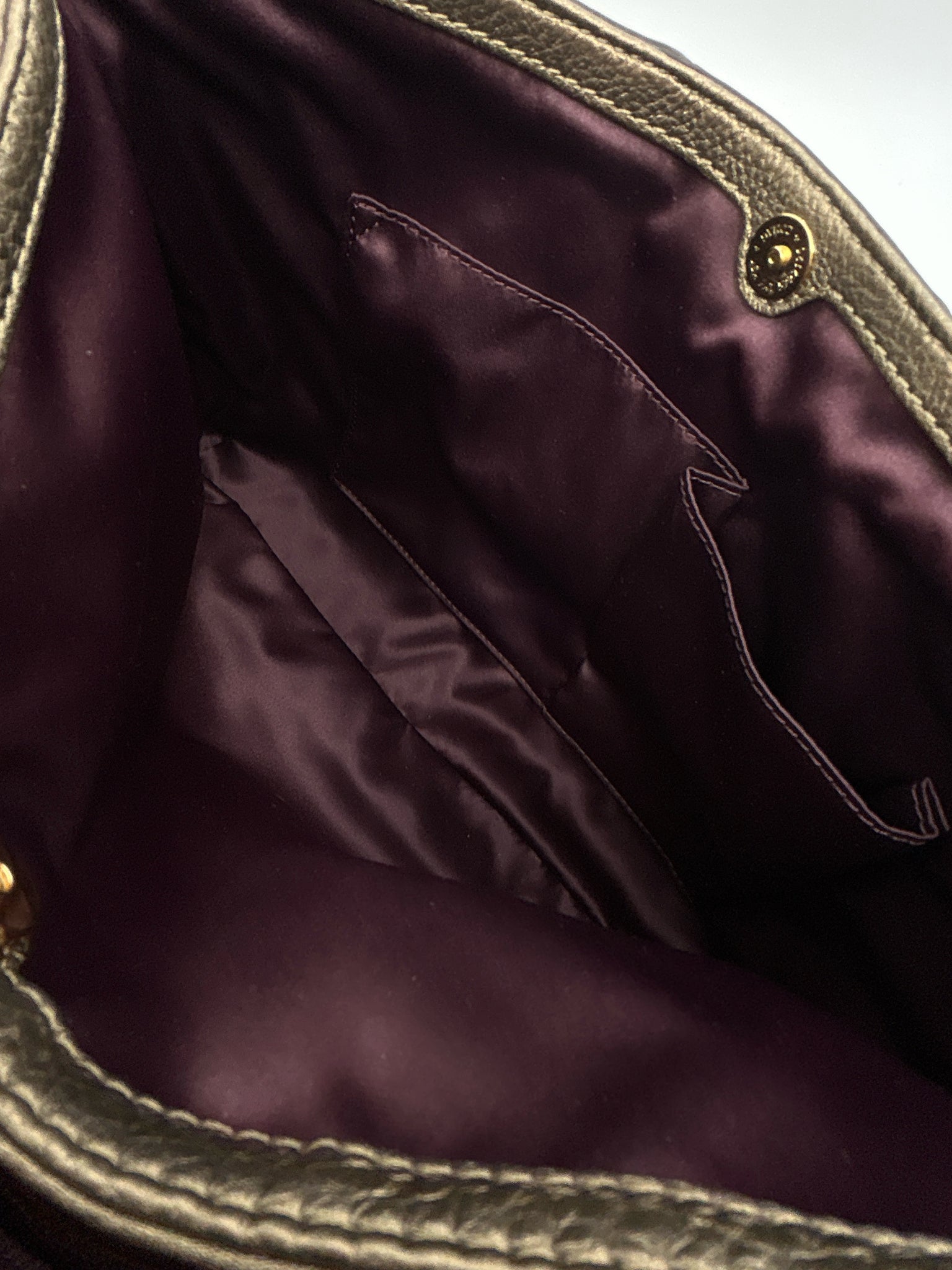 Coach BRONZE Women Purse