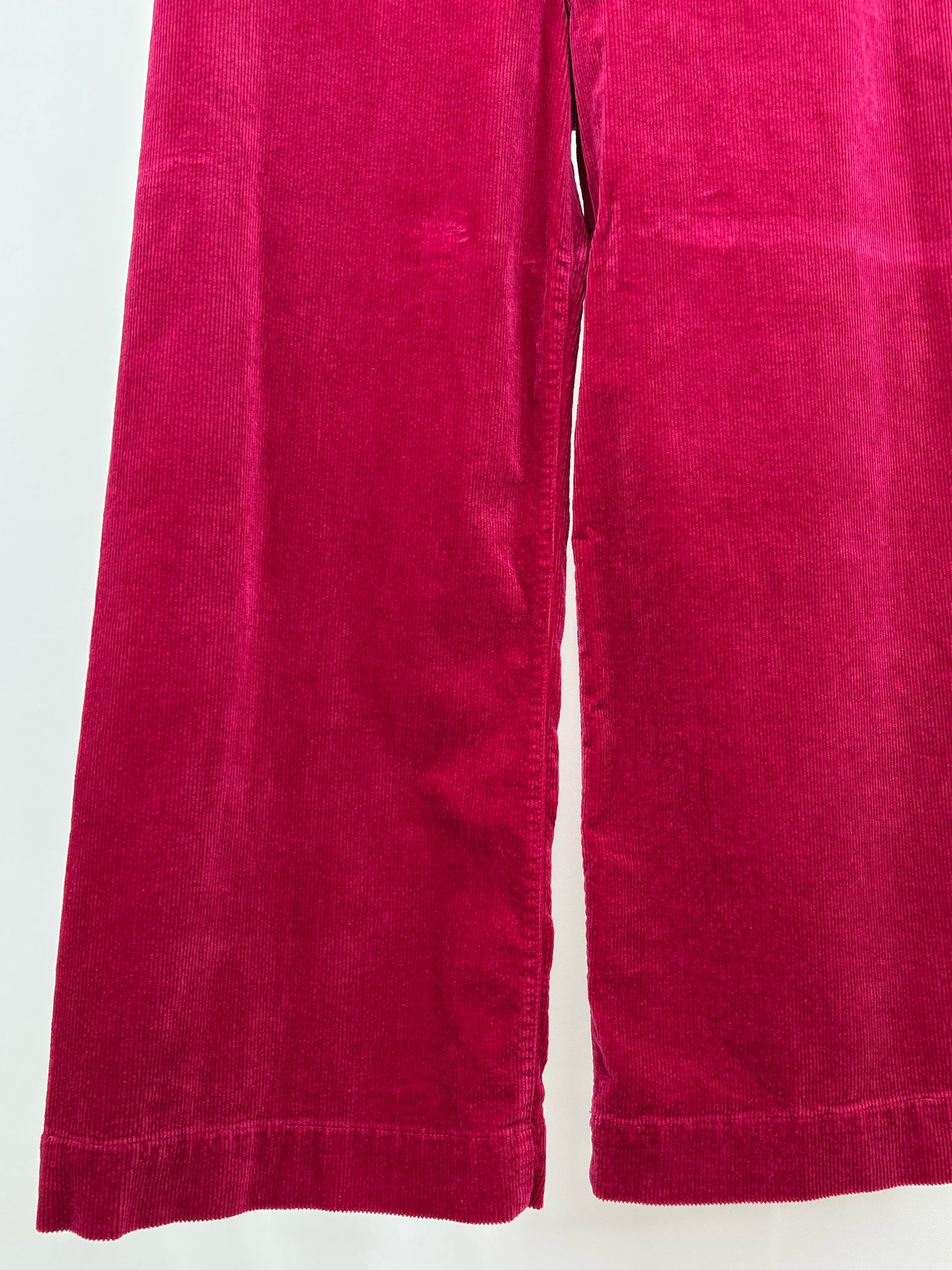 MAEVE Size 31/12 RASPBERRY Women Pants